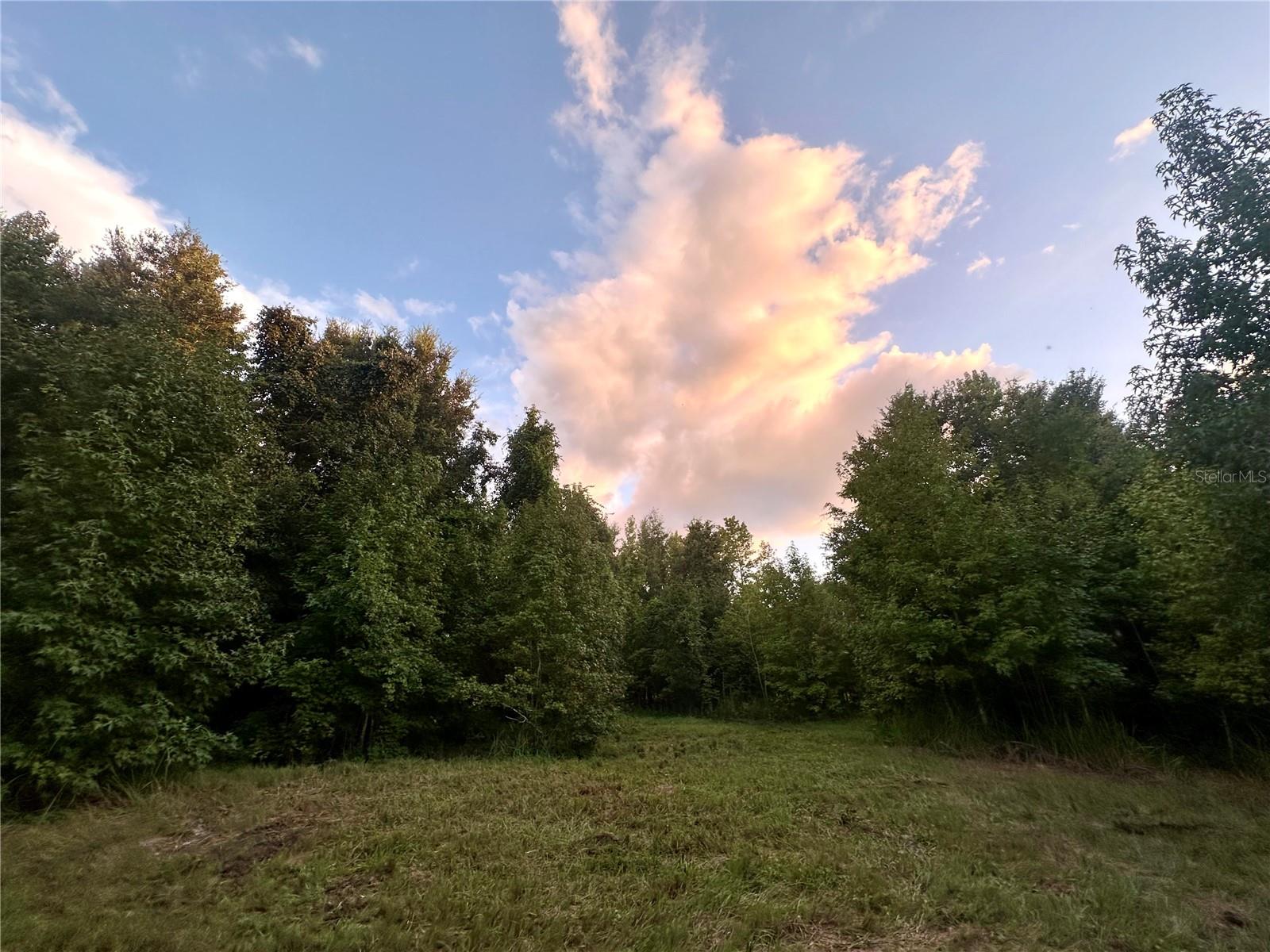 SCIENCE DR, BROOKSVILLE, FL, 34601