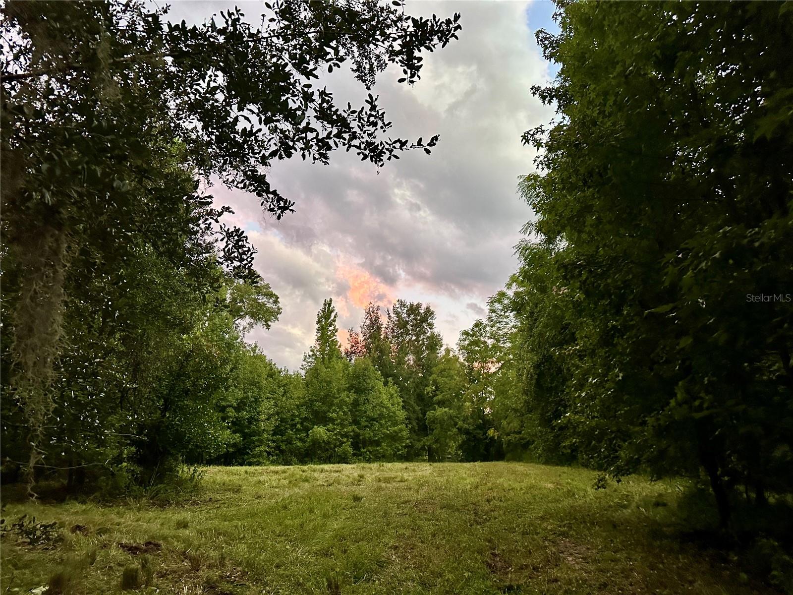 SCIENCE DR, BROOKSVILLE, FL, 34601