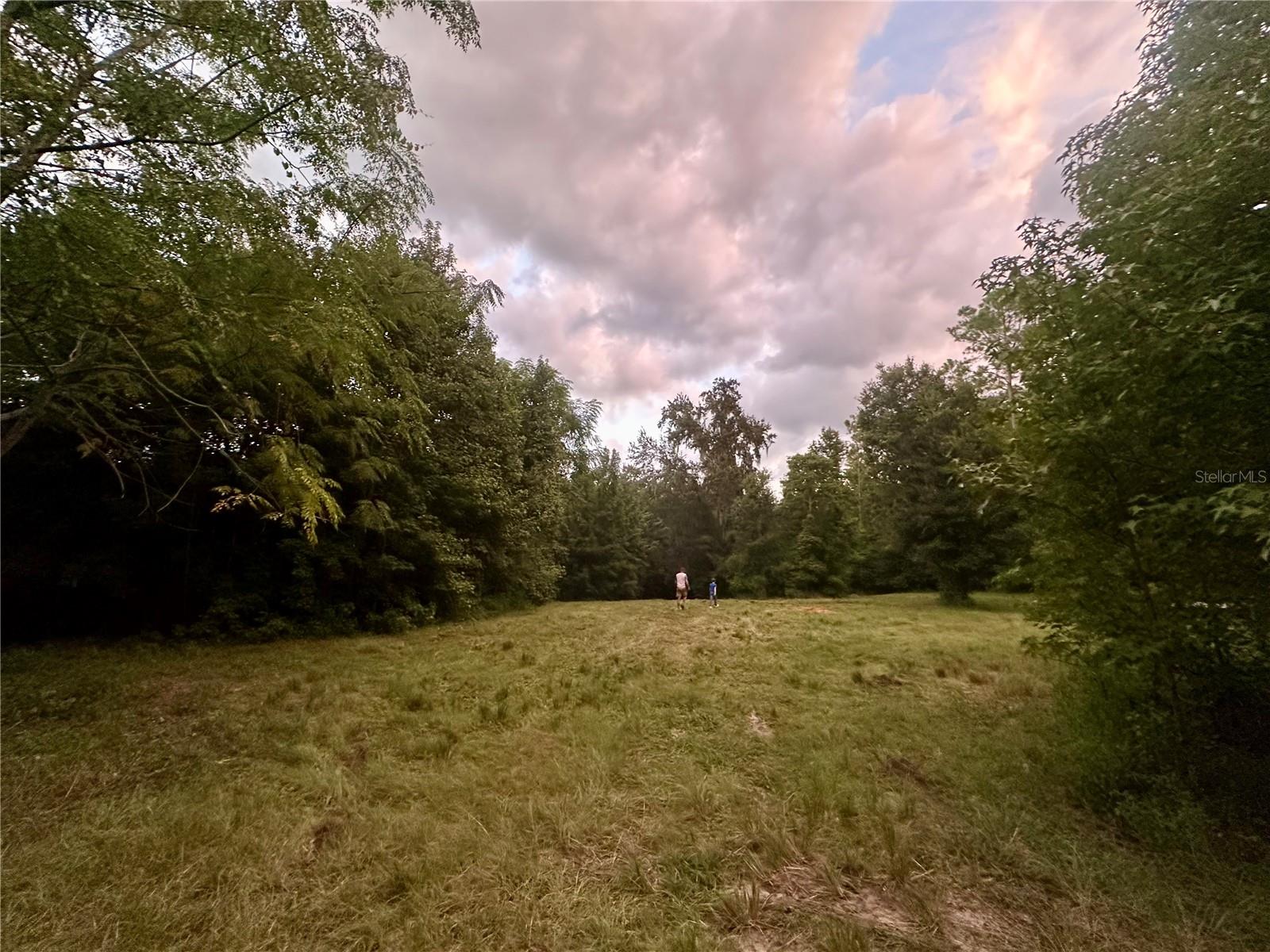 SCIENCE DR, BROOKSVILLE, FL, 34601