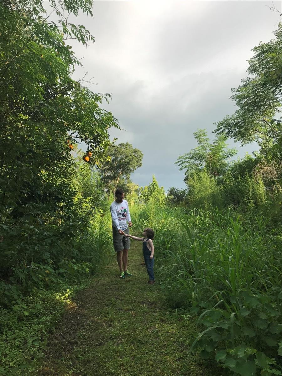 SCIENCE DR, BROOKSVILLE, FL, 34601