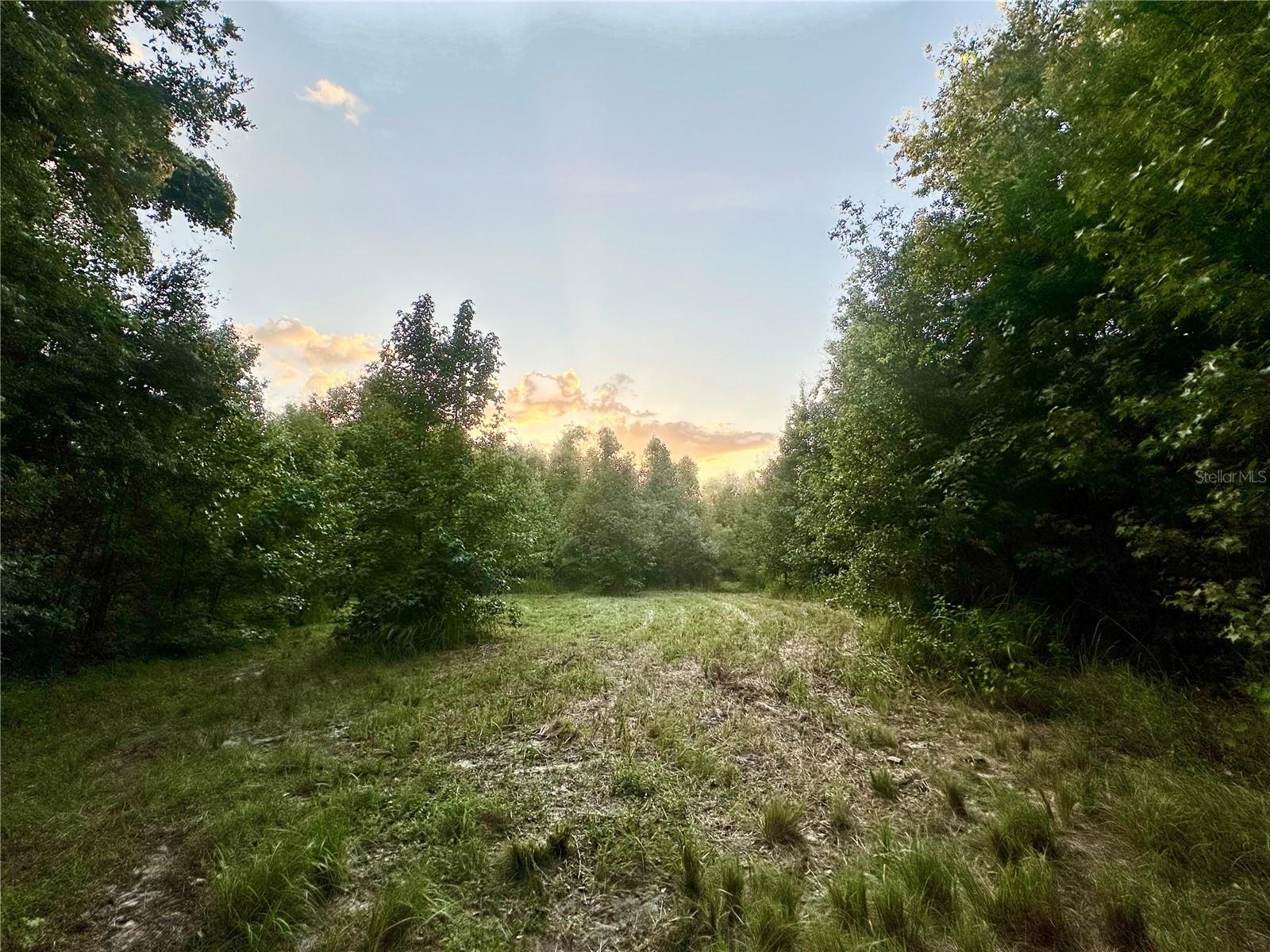 SCIENCE DR, BROOKSVILLE, FL, 34601