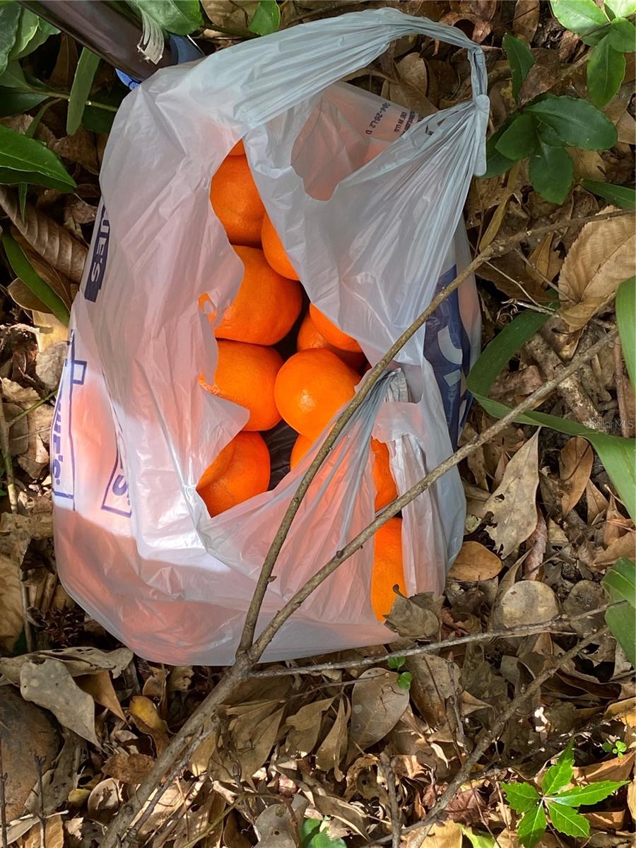 SCIENCE DR, BROOKSVILLE, FL, 34601