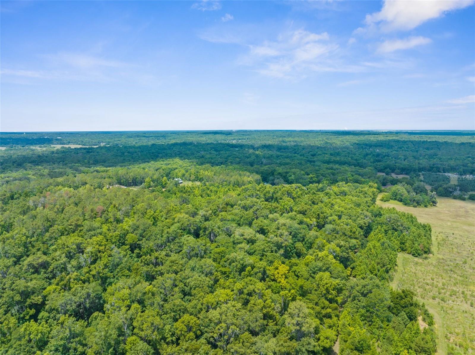 SCIENCE DR, BROOKSVILLE, FL, 34601