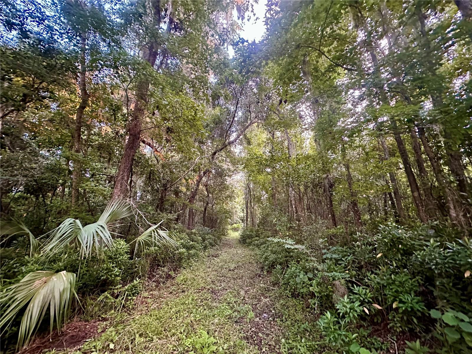 SCIENCE DR, BROOKSVILLE, FL, 34601