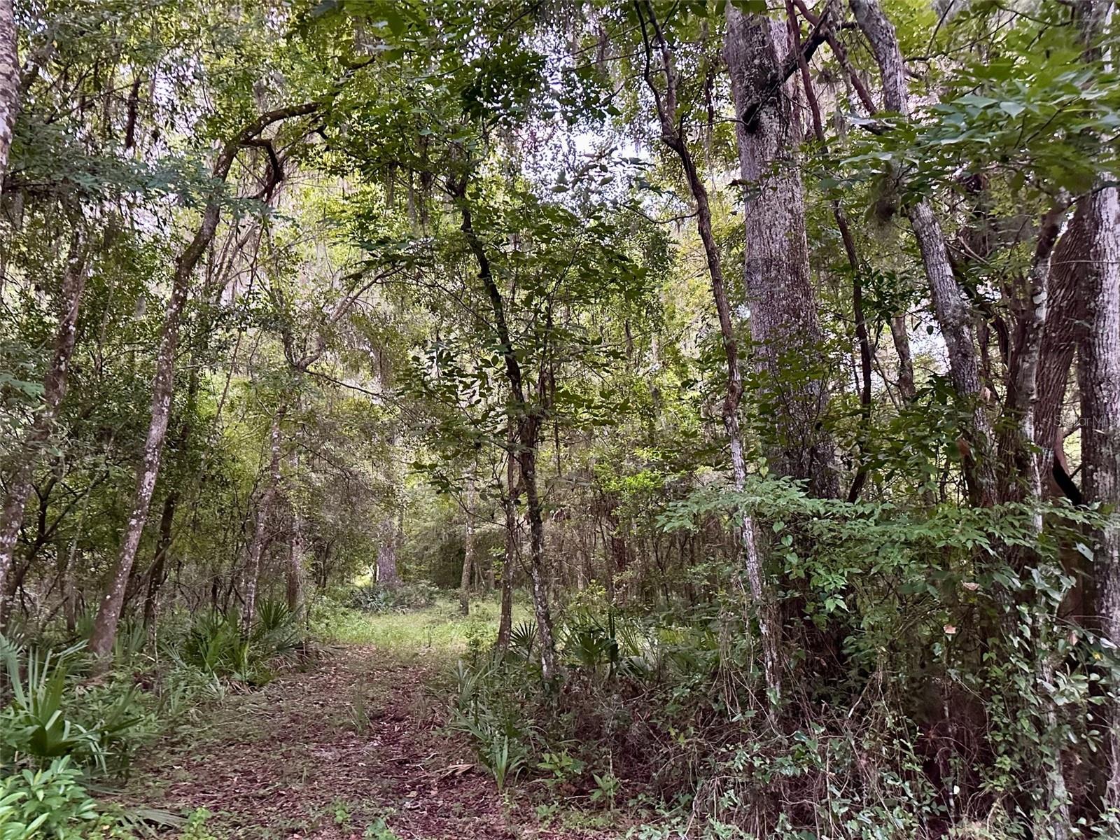 SCIENCE DR, BROOKSVILLE, FL, 34601