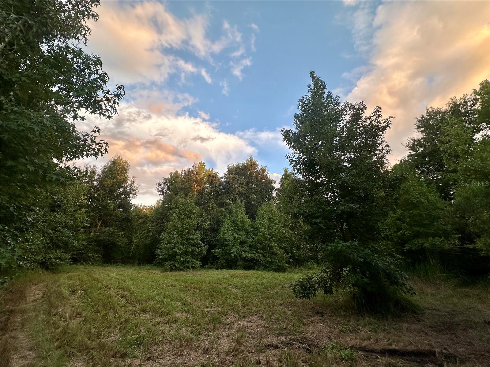 SCIENCE DR, BROOKSVILLE, FL, 34601