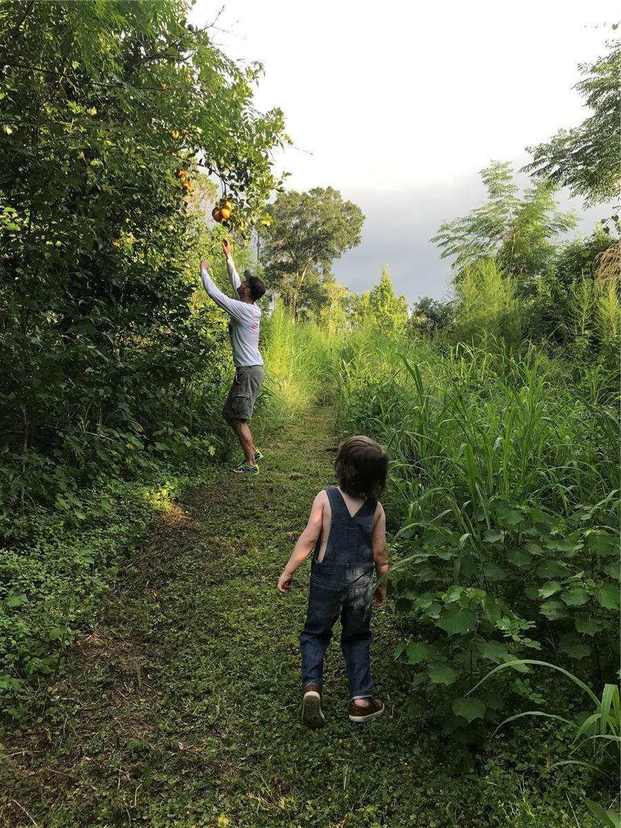 SCIENCE DR, BROOKSVILLE, FL, 34601