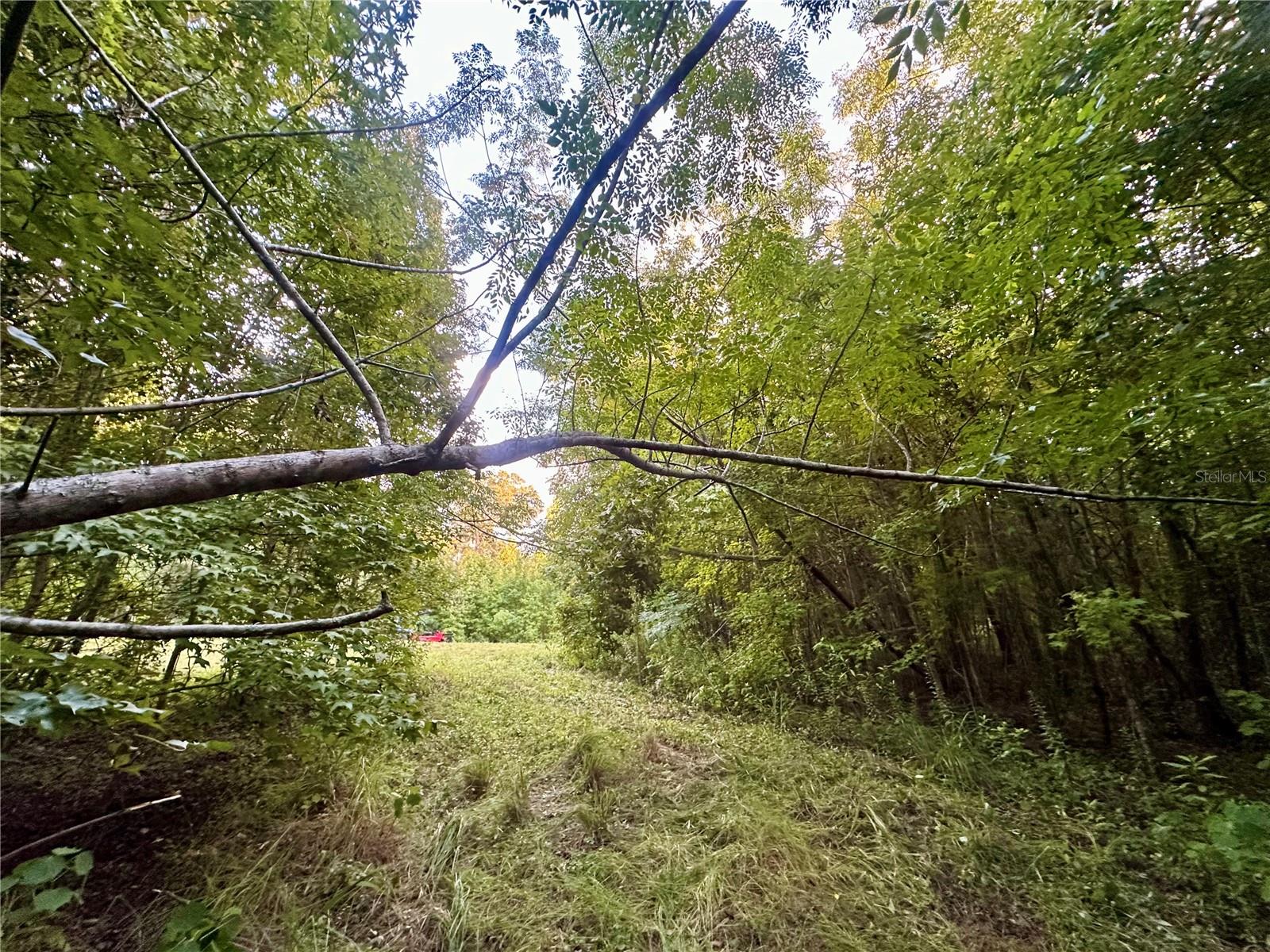 SCIENCE DR, BROOKSVILLE, FL, 34601