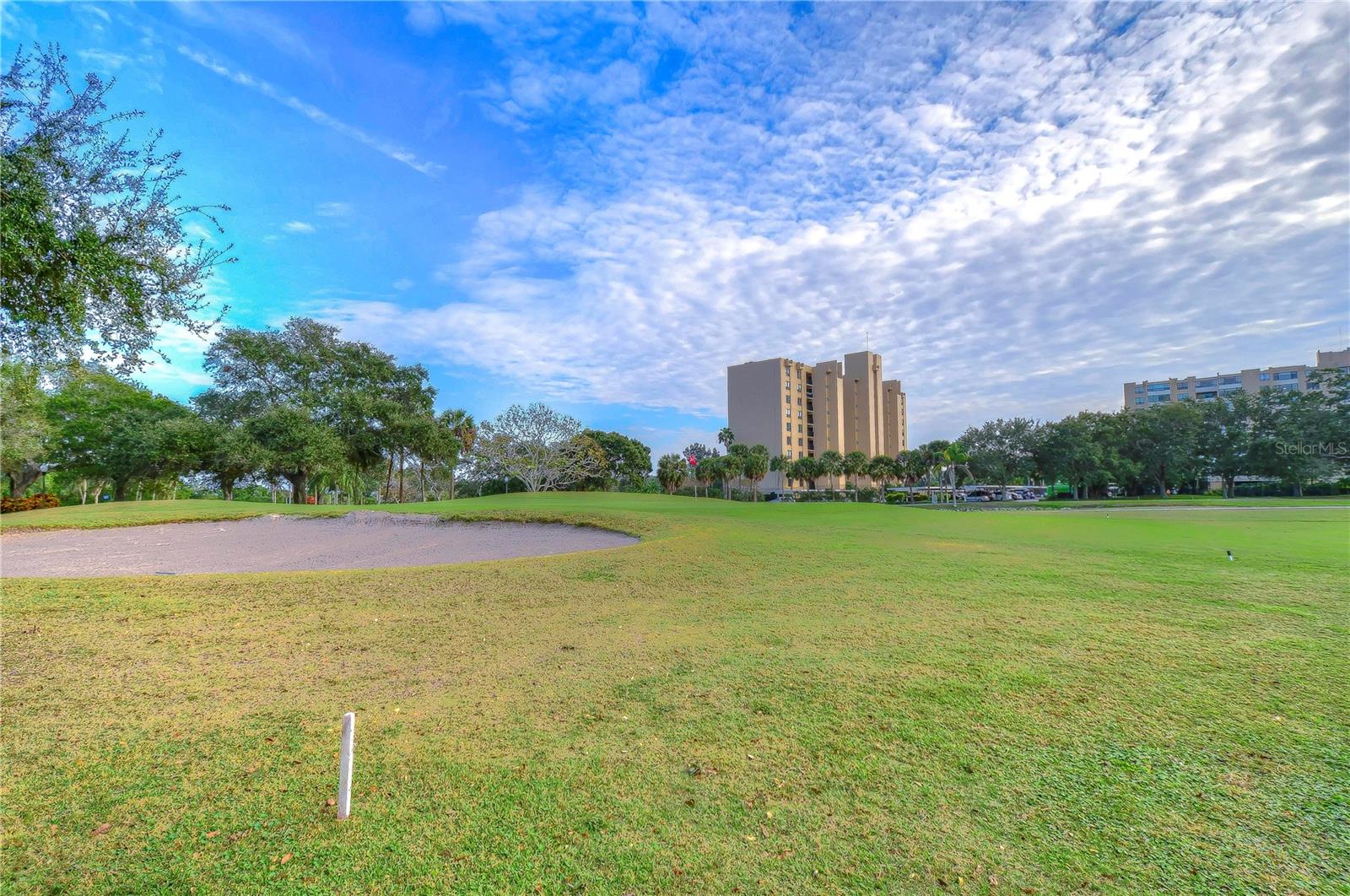 2616 COVE CAY DR #506, CLEARWATER, FL, 33760