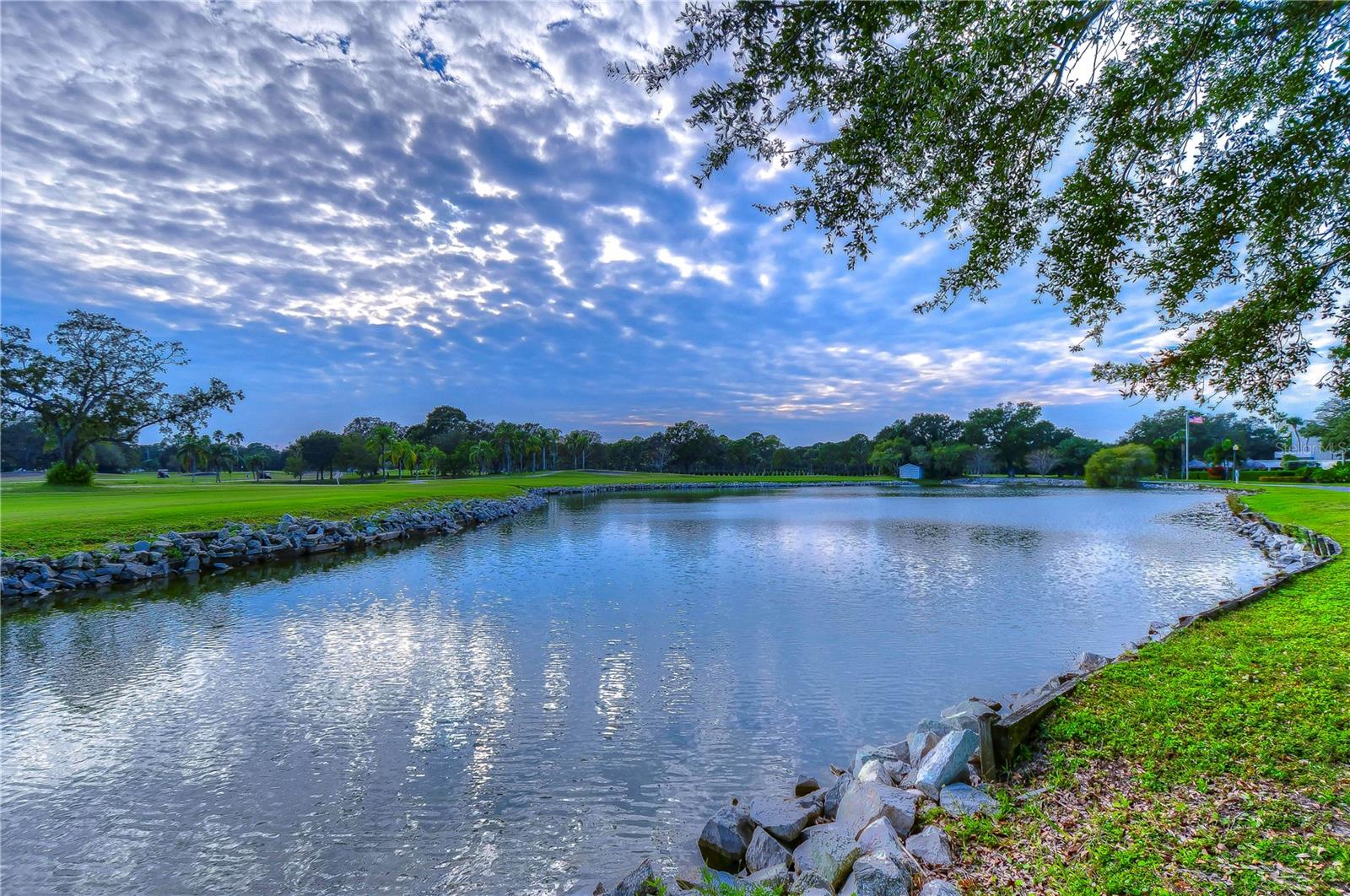 2616 COVE CAY DR #506, CLEARWATER, FL, 33760