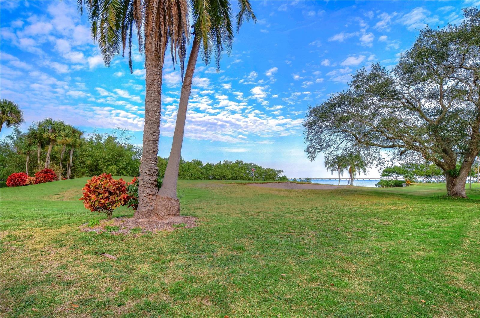 2616 COVE CAY DR #506, CLEARWATER, FL, 33760