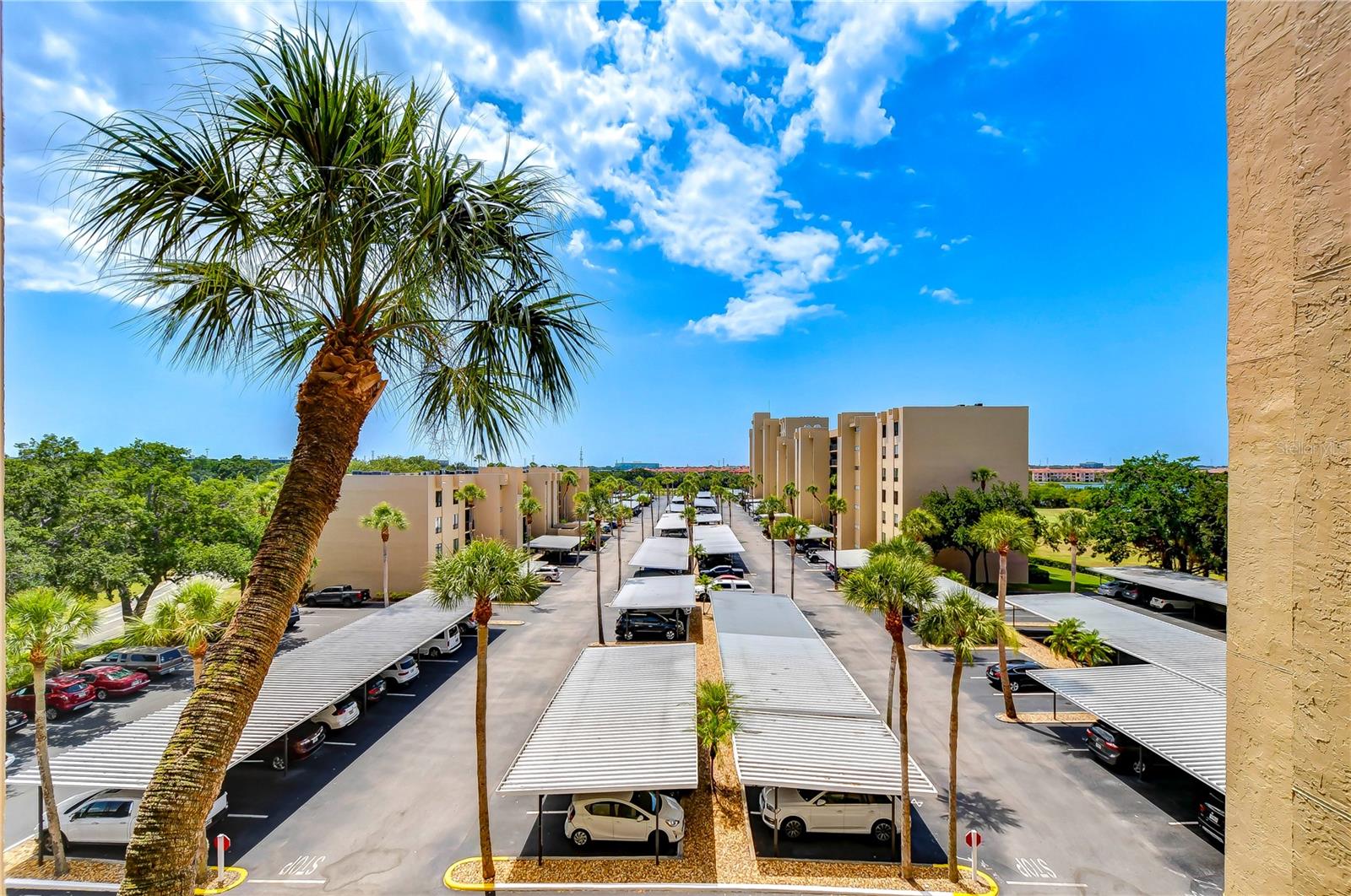 2616 COVE CAY DR #506, CLEARWATER, FL, 33760