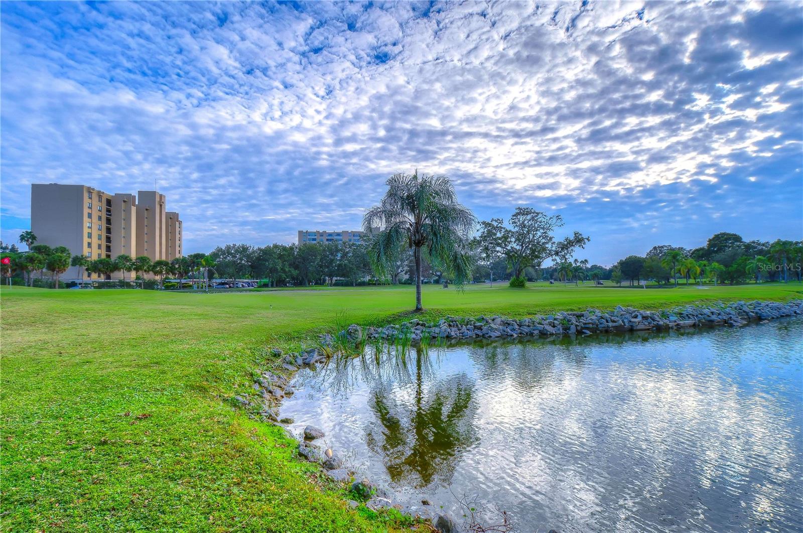 2616 COVE CAY DR #506, CLEARWATER, FL, 33760