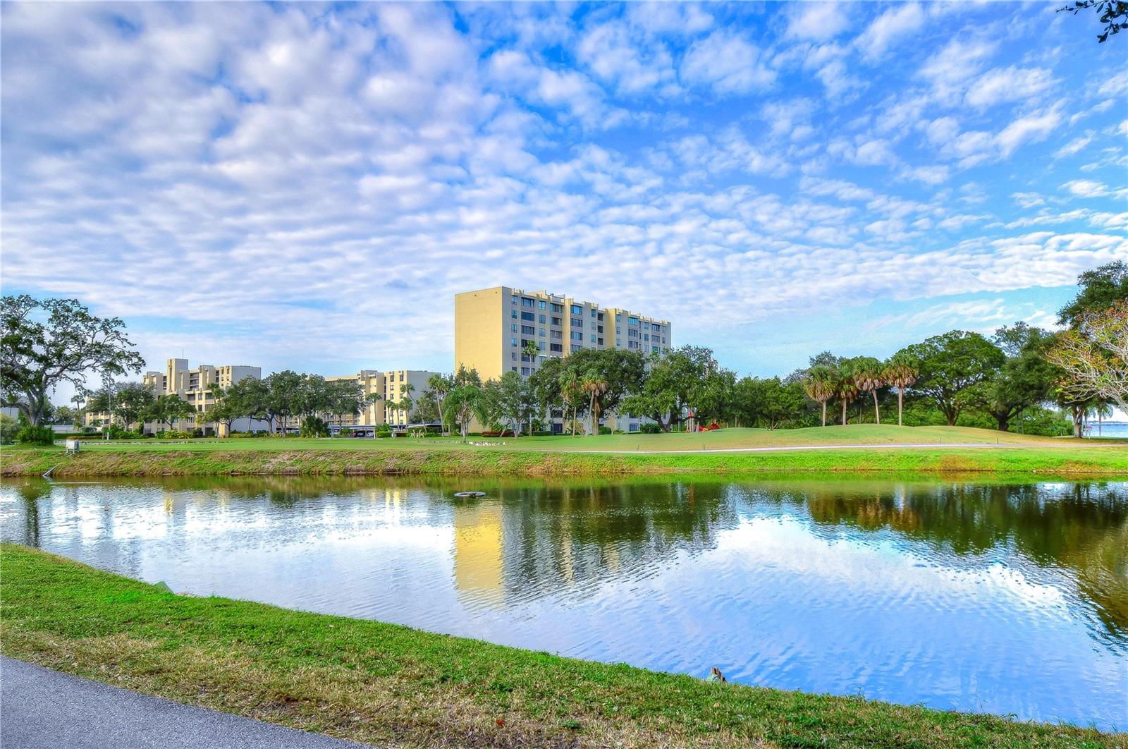 2616 COVE CAY DR #506, CLEARWATER, FL, 33760