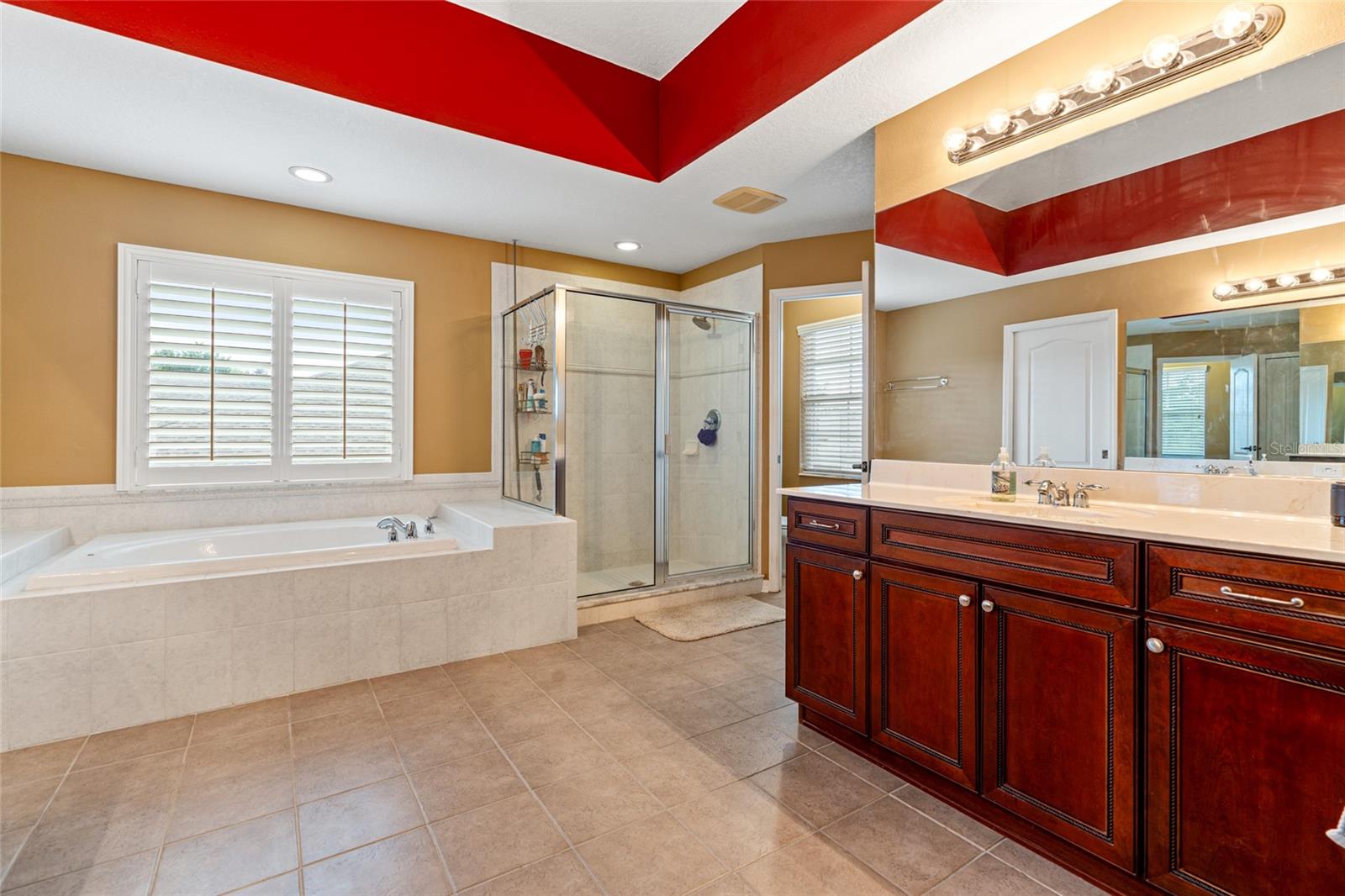 21631 CORMORANT COVE DR, LAND O LAKES, FL, 34637