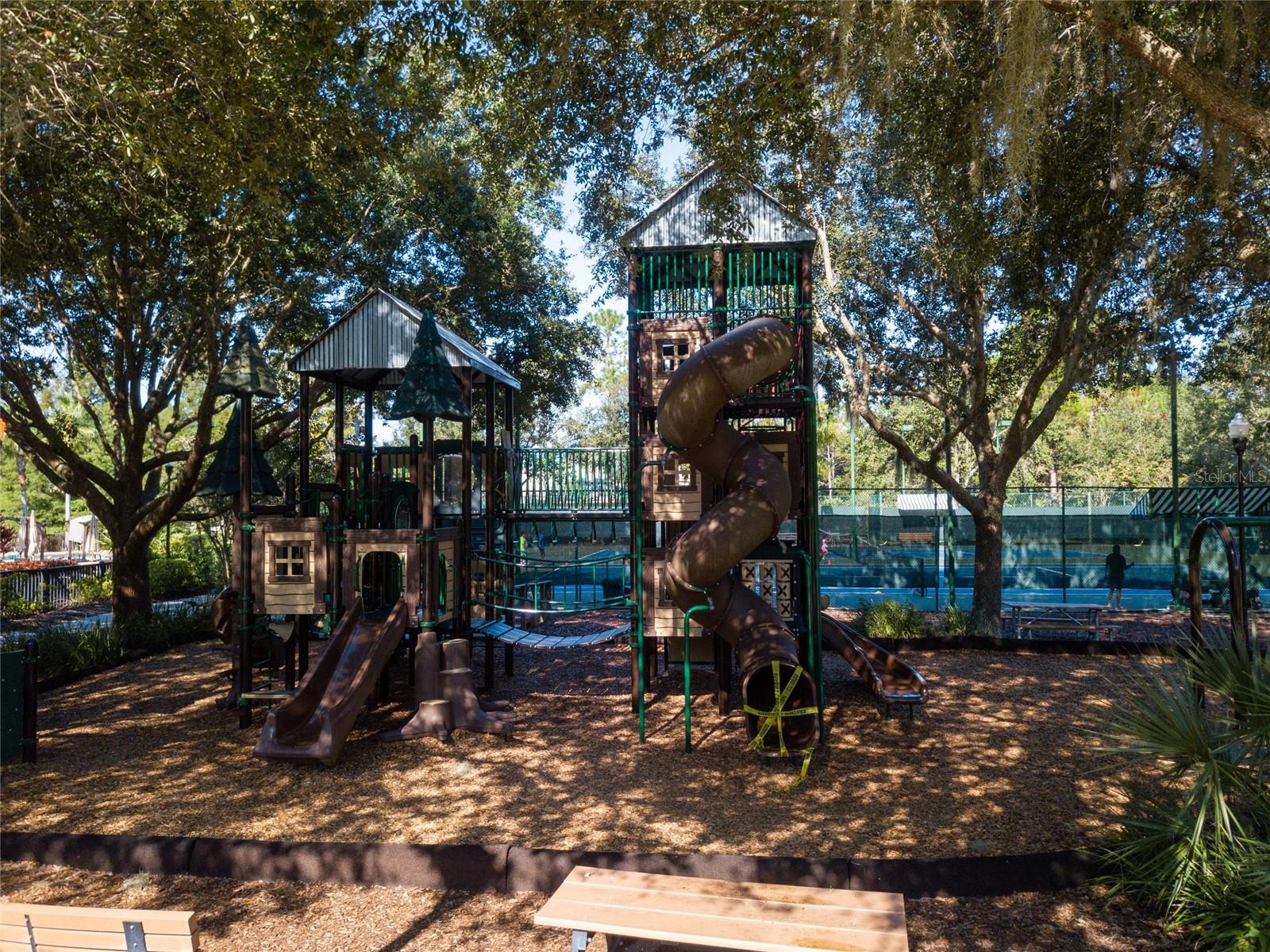 21631 CORMORANT COVE DR, LAND O LAKES, FL, 34637