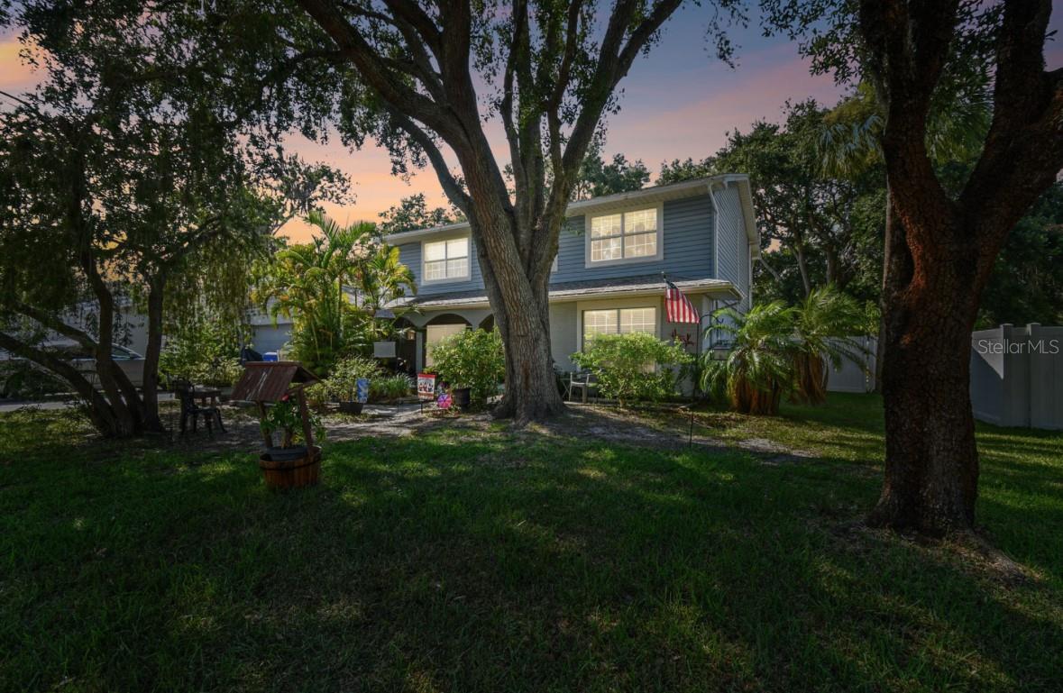23335 CHARLSTON PL, LAND O LAKES, FL, 34639