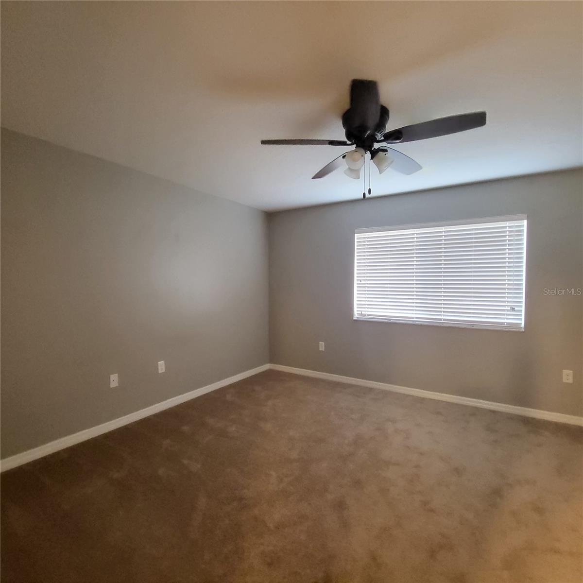 4060 WINDING VINE DR, LAKELAND, FL, 33812
