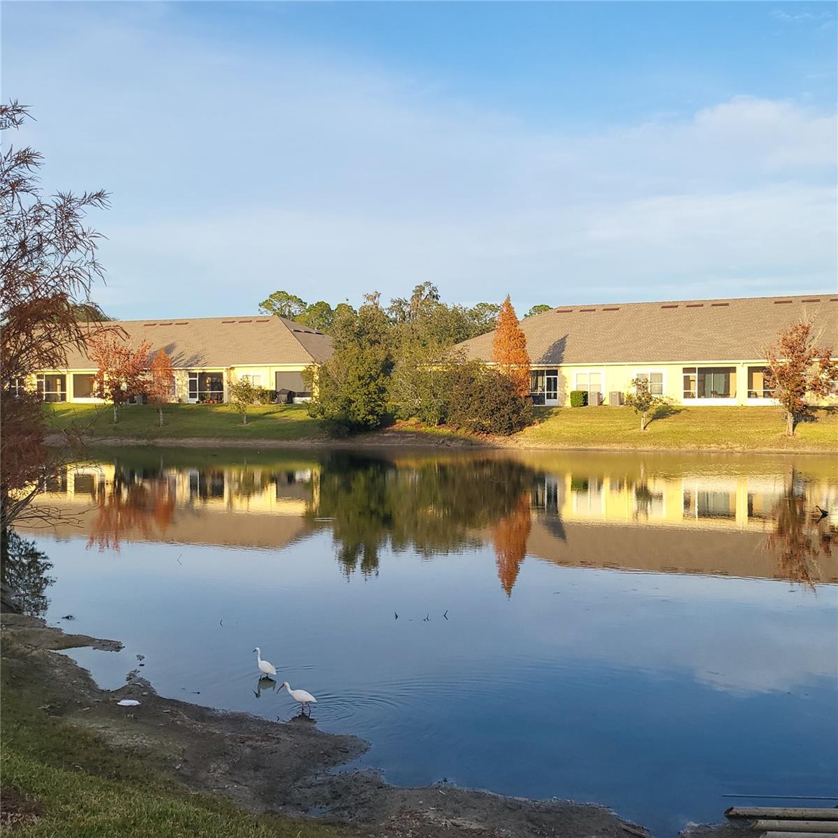 4060 WINDING VINE DR, LAKELAND, FL, 33812
