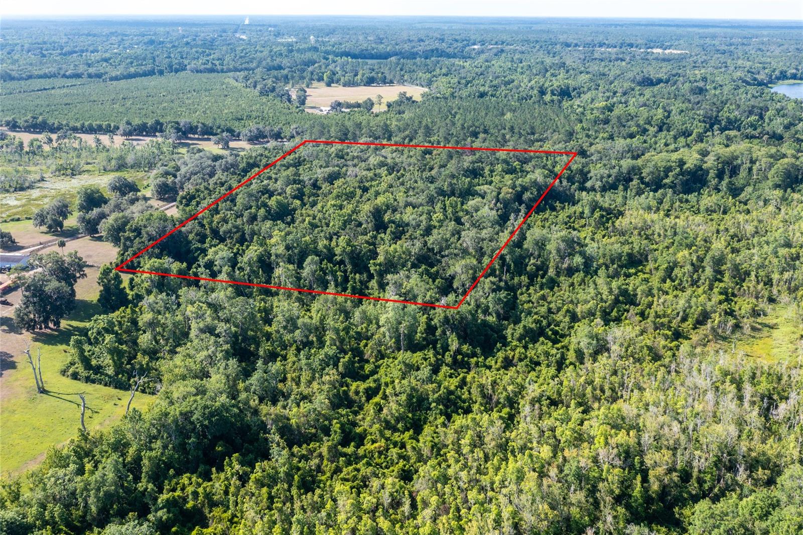 8903 SE 225TH DR, HAWTHORNE, FL, 32640