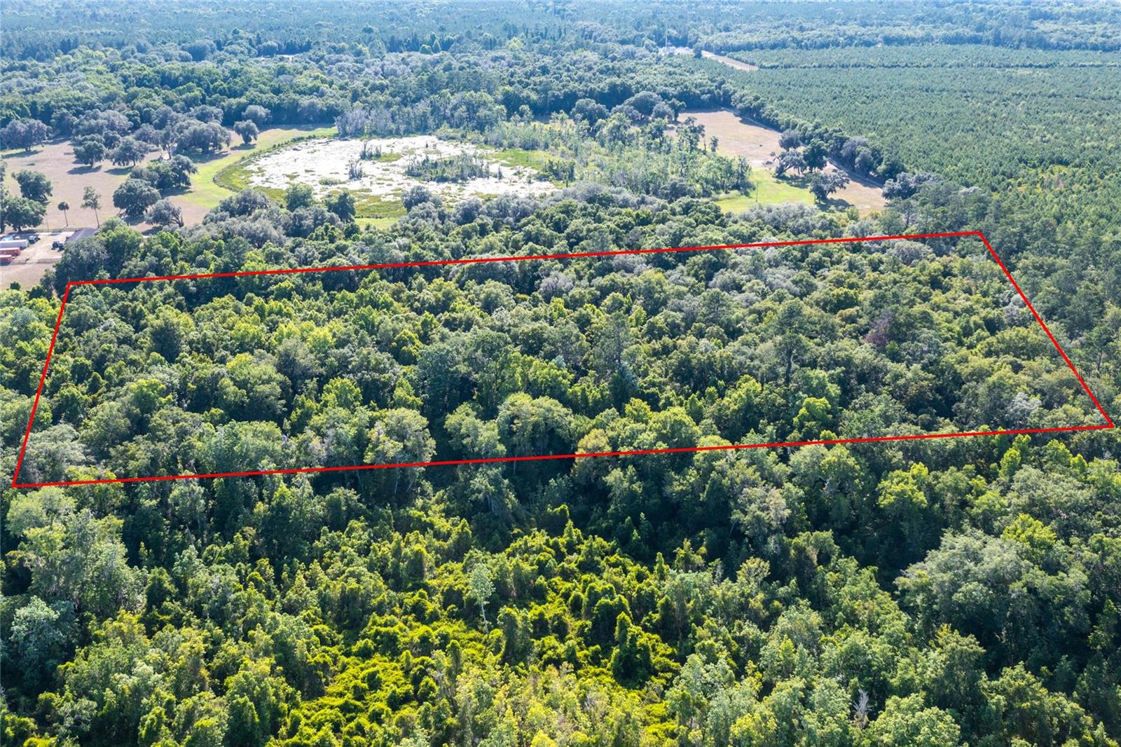 8903 SE 225TH DR, HAWTHORNE, FL, 32640
