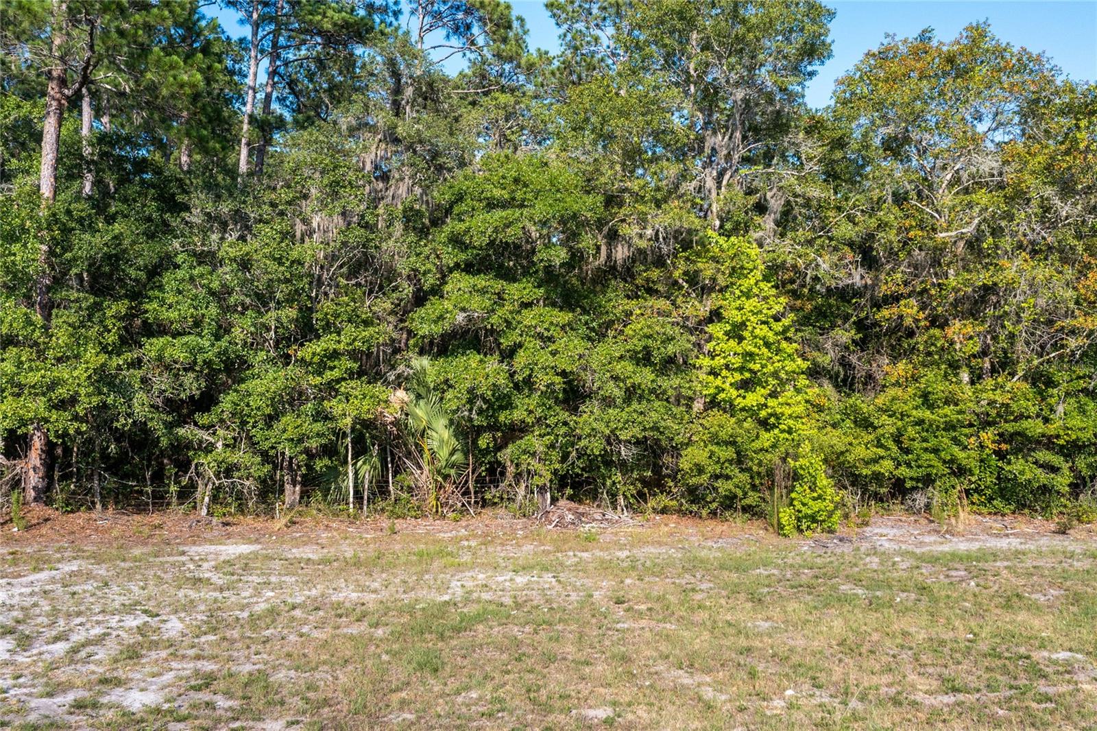 8903 SE 225TH DR, HAWTHORNE, FL, 32640