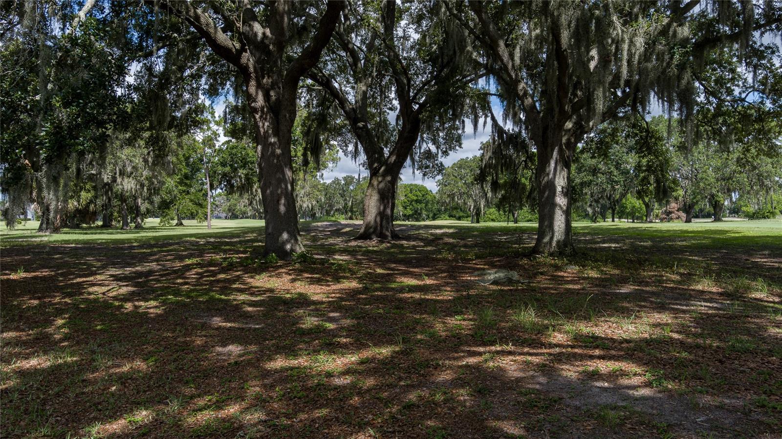 2120 GOLF MANOR BLVD, VALRICO, FL, 33594