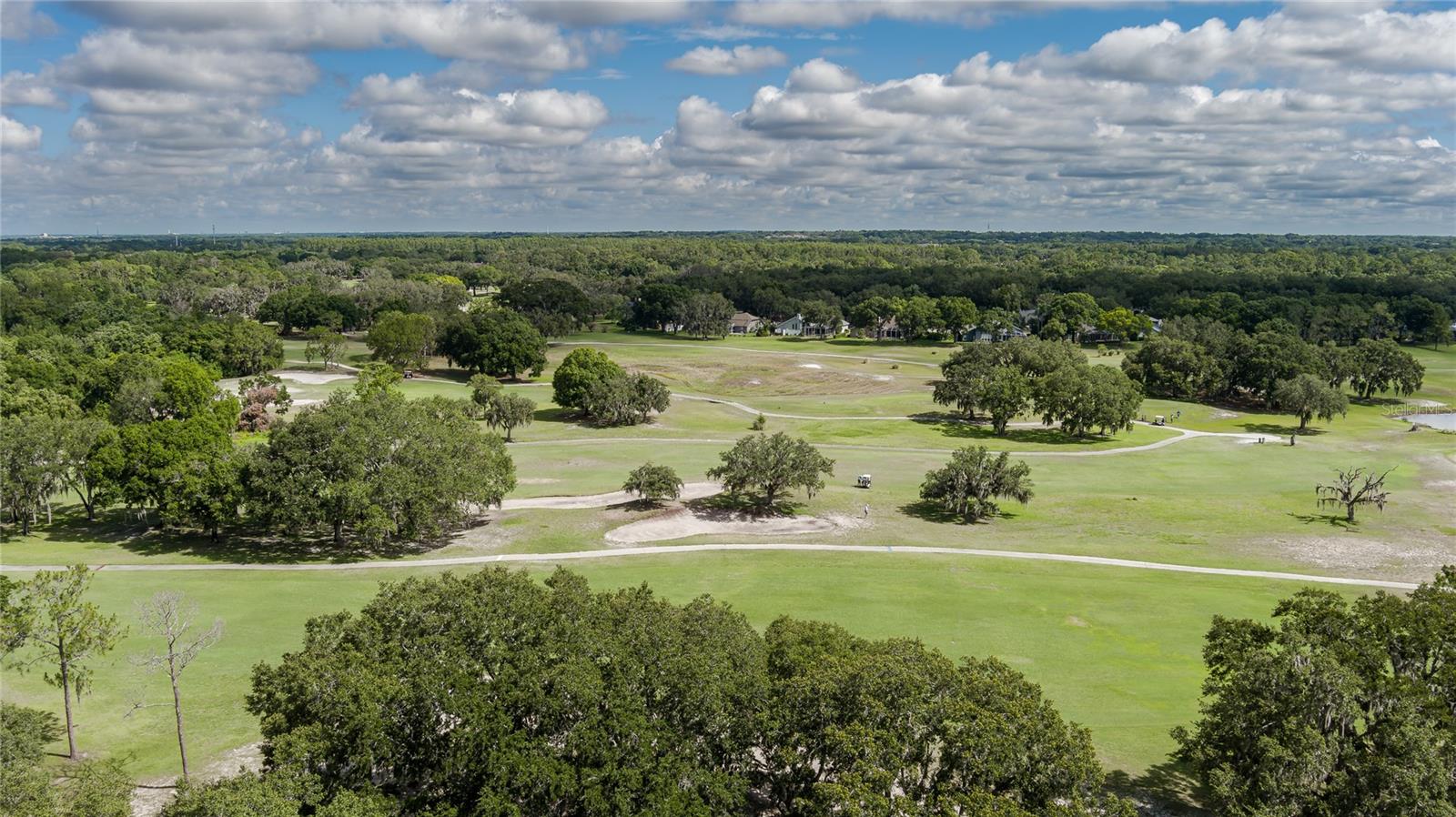 2120 GOLF MANOR BLVD, VALRICO, FL, 33594