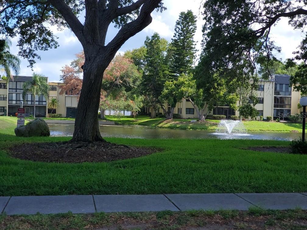 14130 ROSEMARY LN #5311, LARGO, FL, 33774