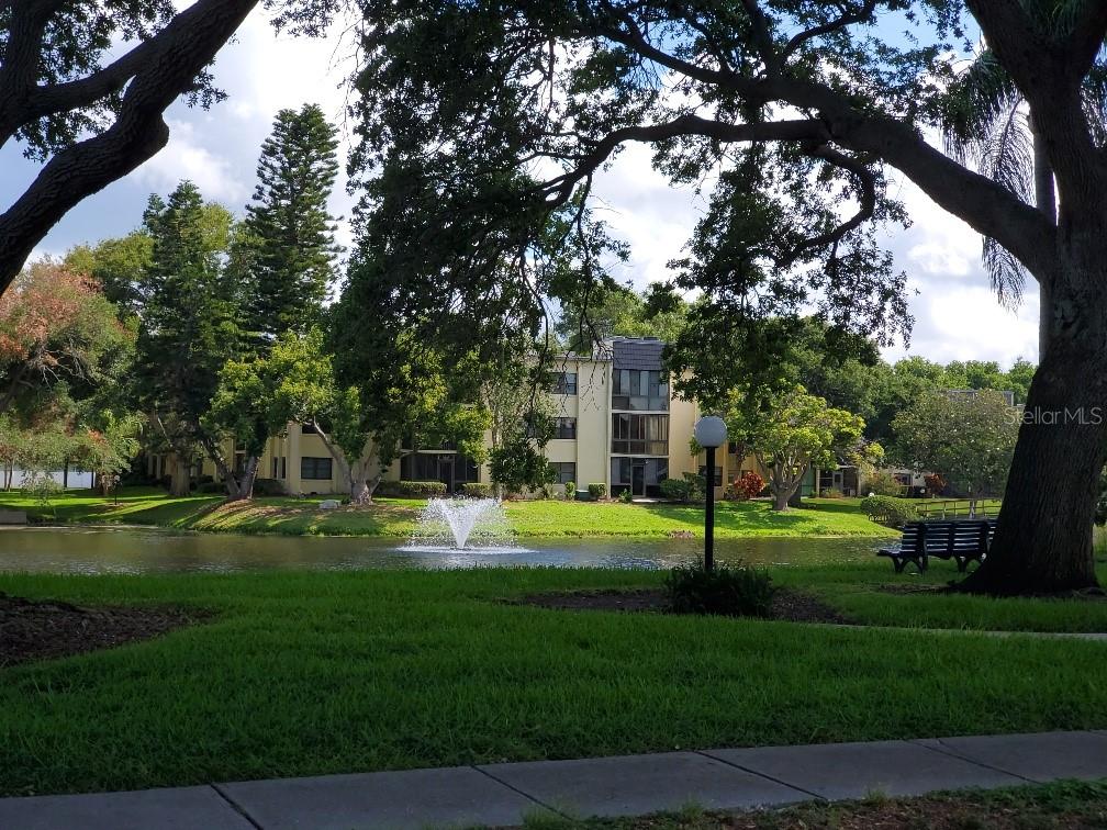 14130 ROSEMARY LN #5311, LARGO, FL, 33774