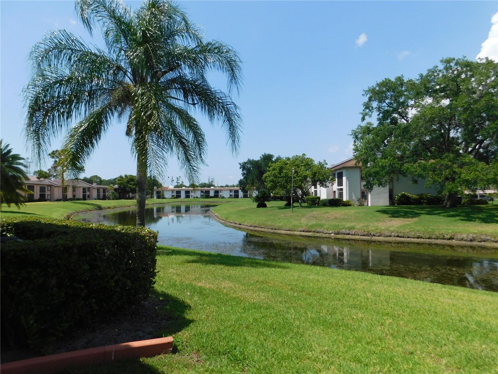 147 LAKESIDE DR, OLDSMAR, FL, 34677