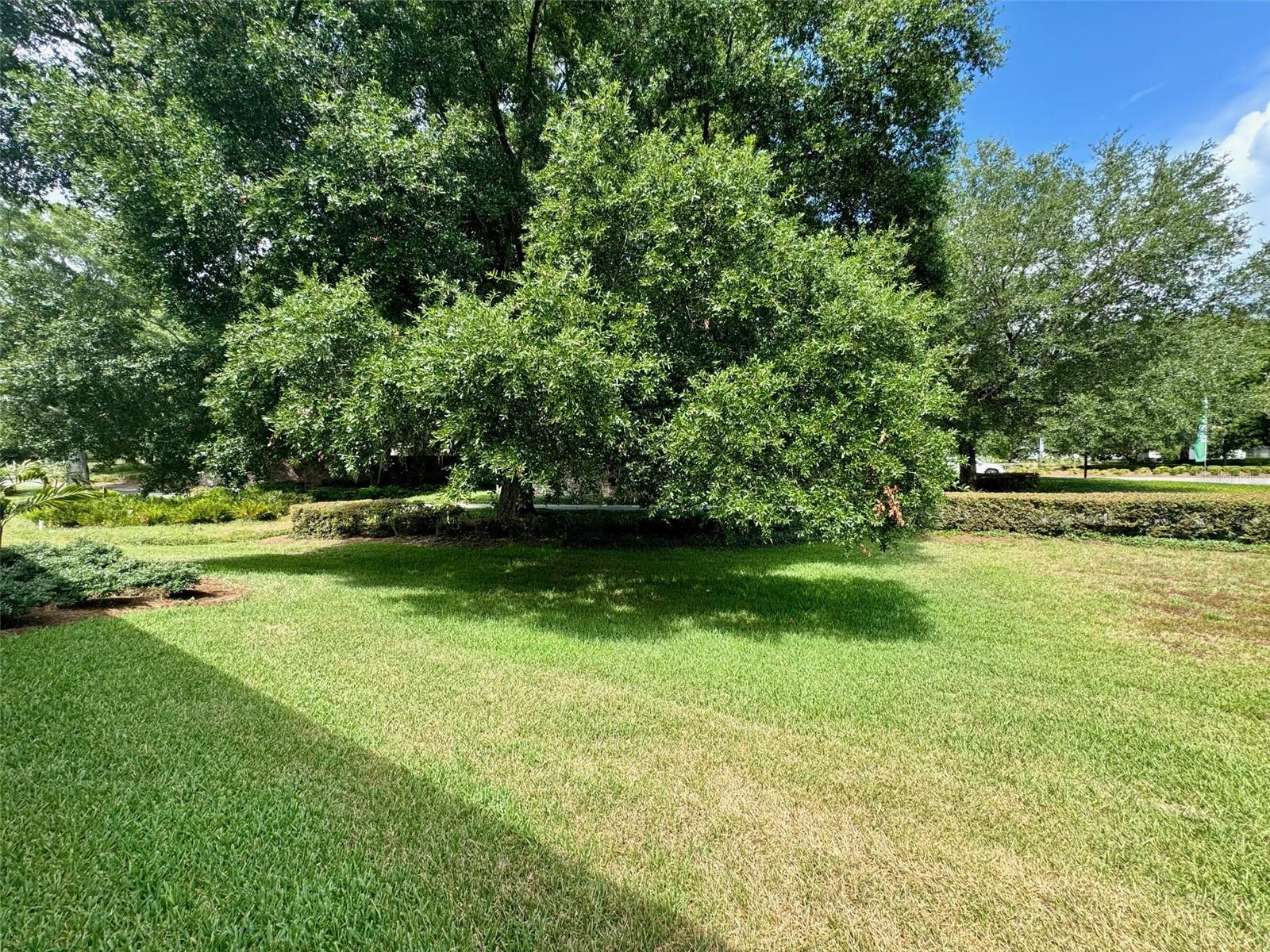 3342 NW 54TH CT, OCALA, FL, 34482