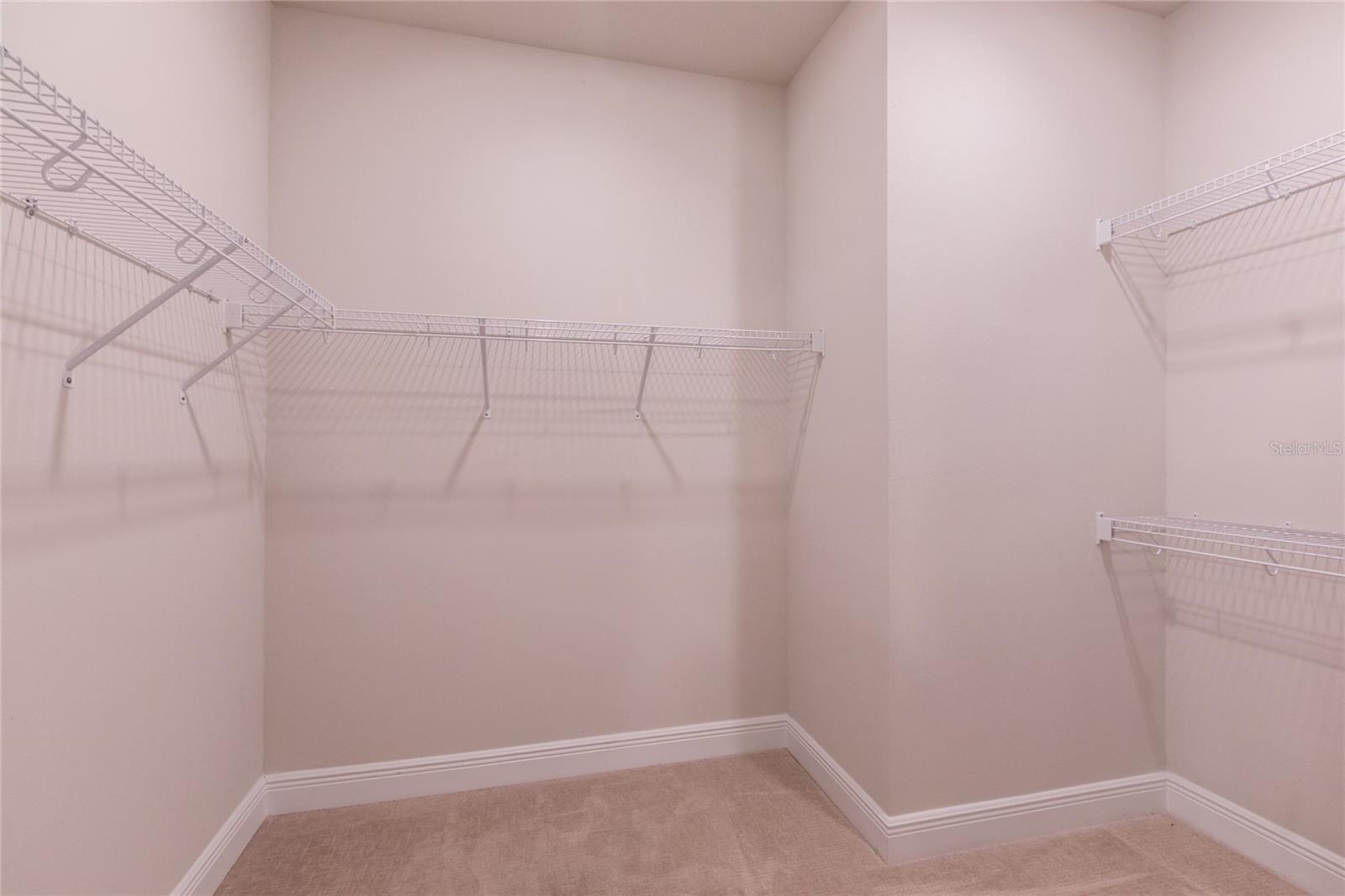 6238 WATERCOLOR DR, LITHIA, FL, 33547