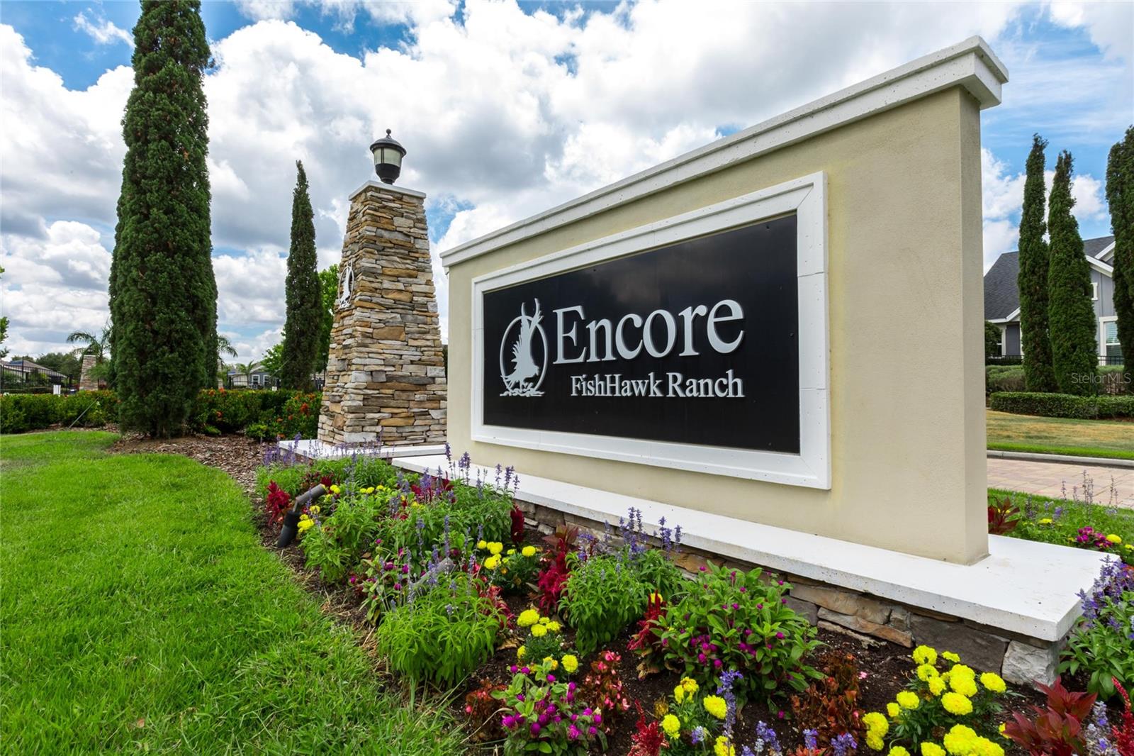 6238 WATERCOLOR DR, LITHIA, FL, 33547