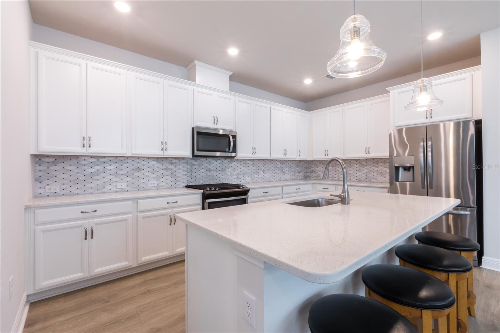 6238 WATERCOLOR DR, LITHIA, FL, 33547