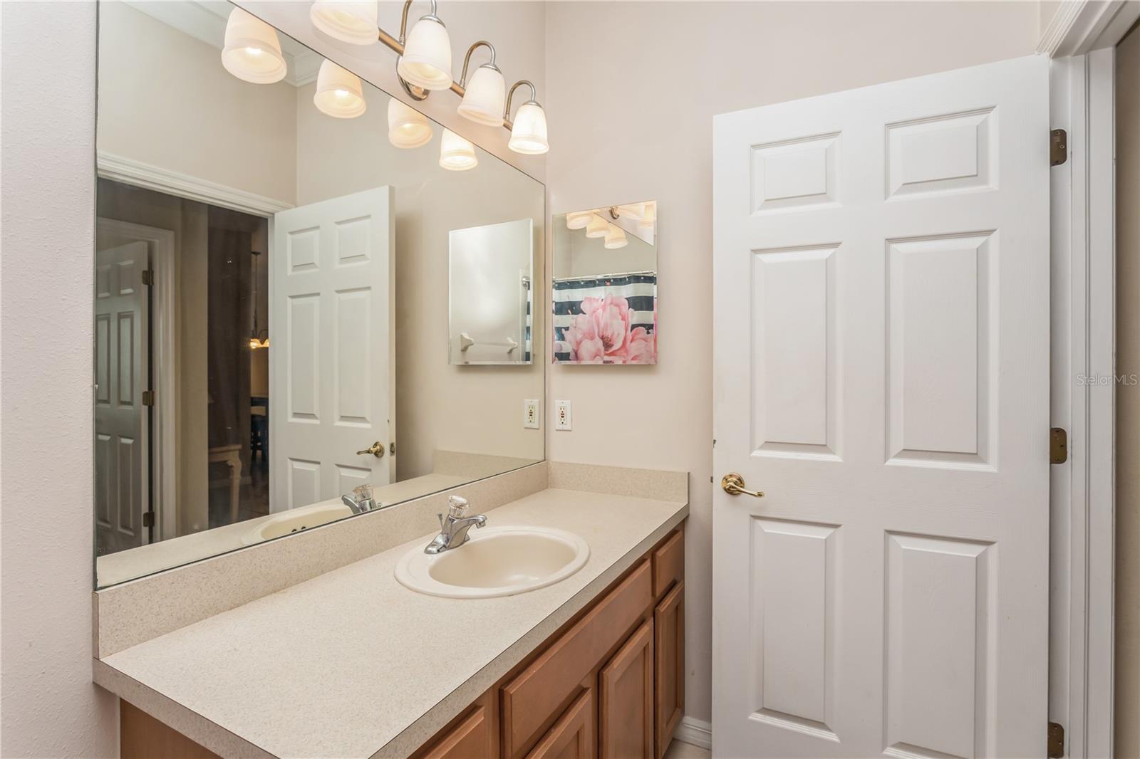 10263 DEVONSHIRE LAKE DR, TAMPA, FL, 33647