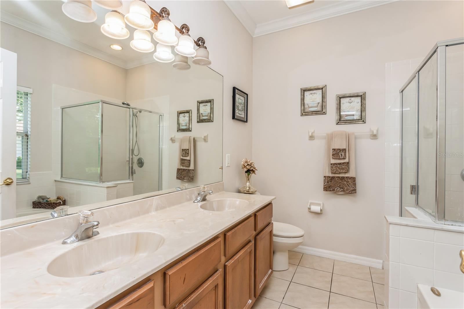 10263 DEVONSHIRE LAKE DR, TAMPA, FL, 33647