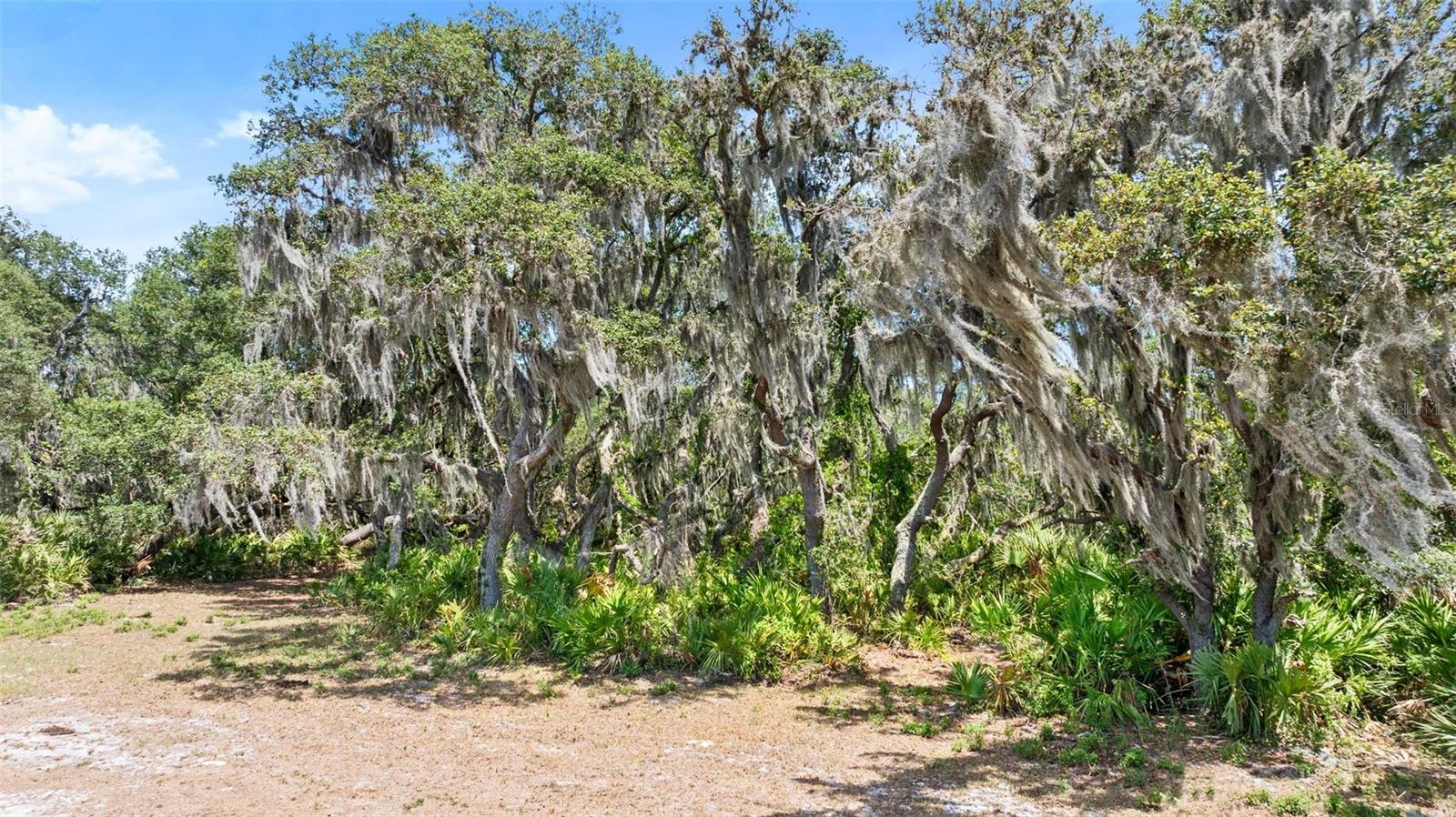 T3533019 Property Photo