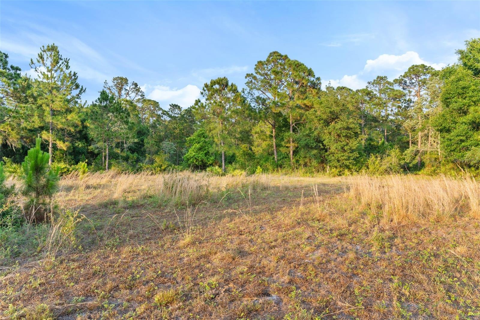 T3533019 Property Photo