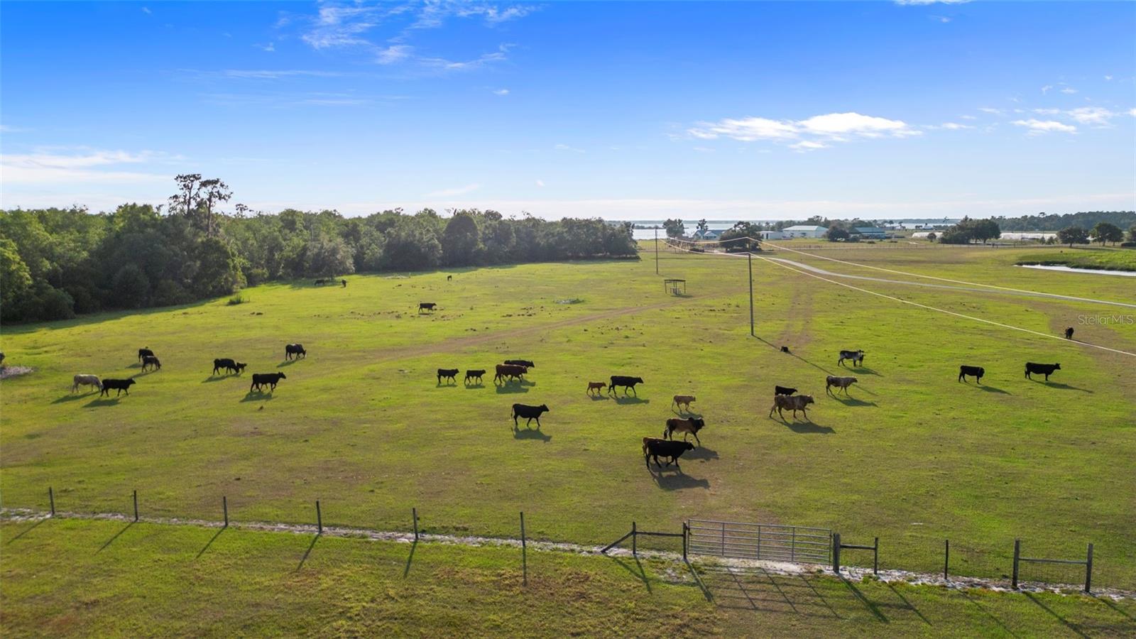 T3533019 Property Photo