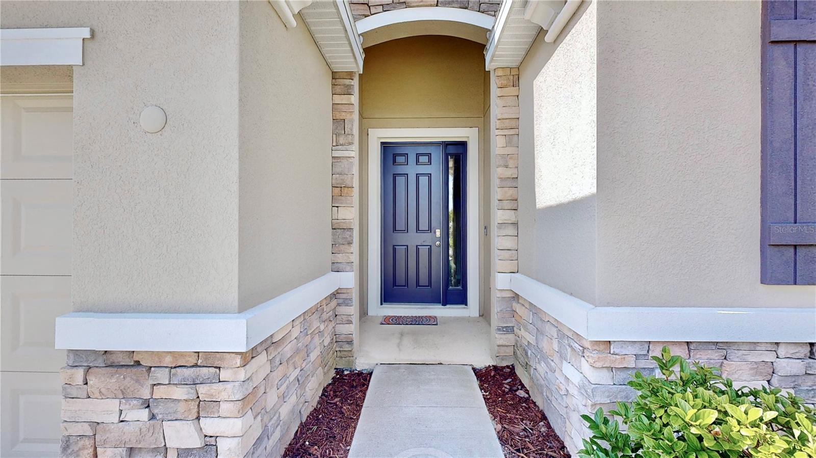 30964 PENNY SURF LOOP, WESLEY CHAPEL, FL, 33545