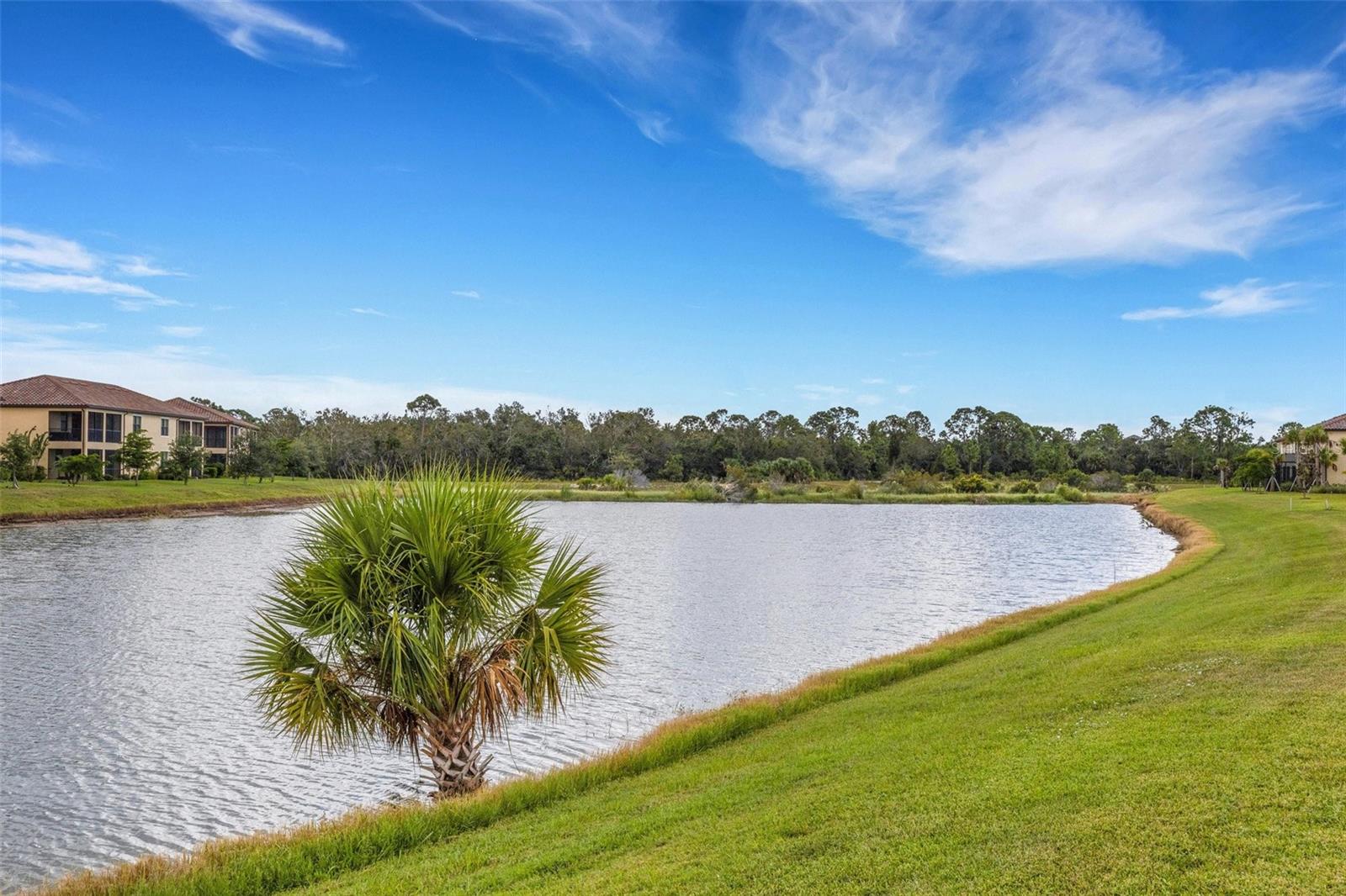 20436 LAGENTE CIR, VENICE, FL, 34293