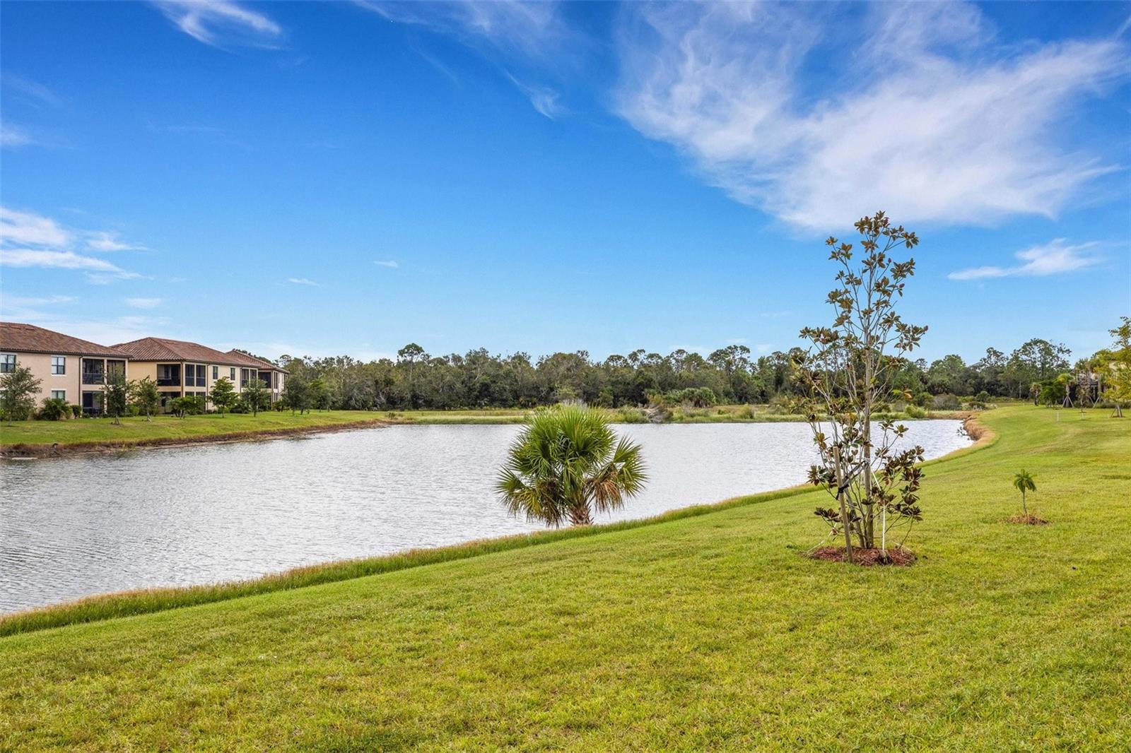 20436 LAGENTE CIR, VENICE, FL, 34293