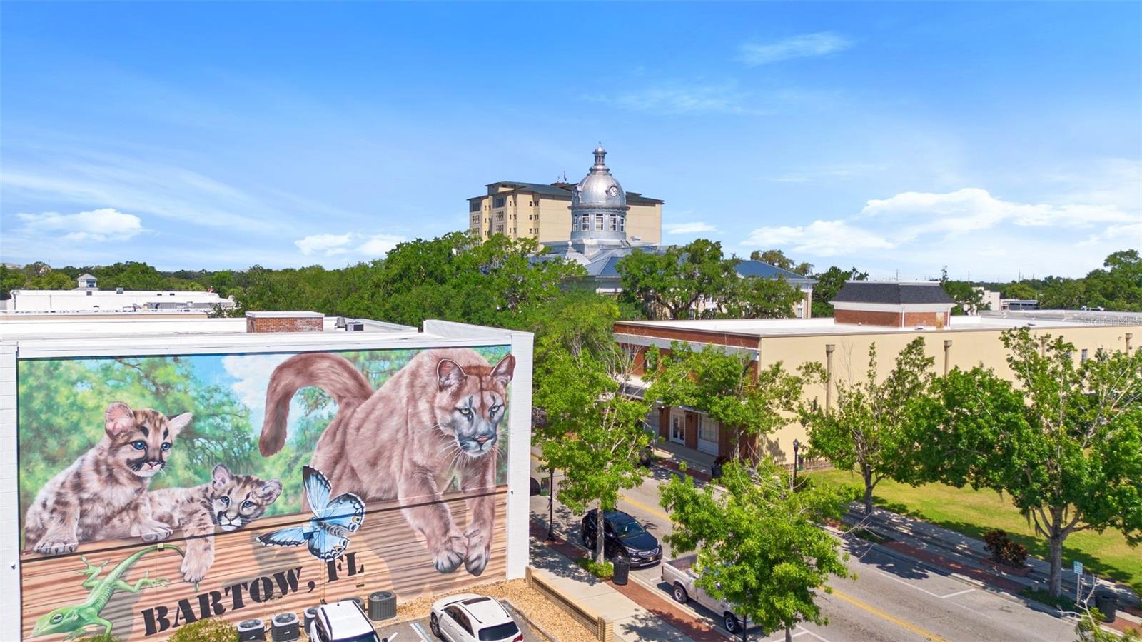 1010 E HIBISCUS DR, BARTOW, FL, 33830