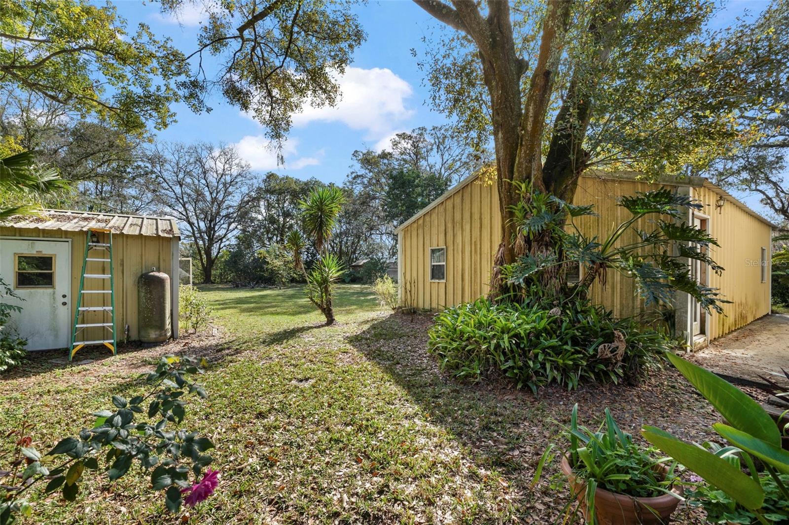 13015 ELM ST, ODESSA, FL, 33556
