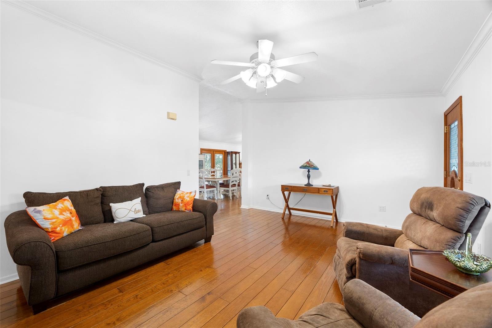 13015 ELM ST, ODESSA, FL, 33556