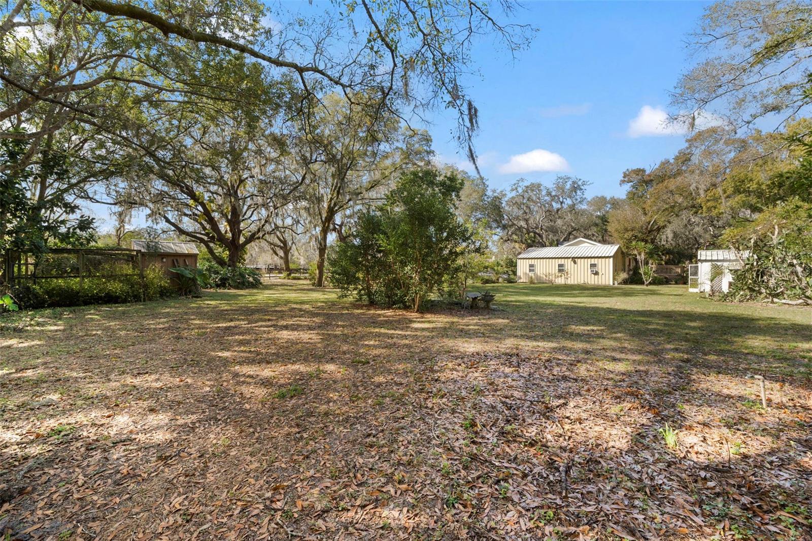 13015 ELM ST, ODESSA, FL, 33556