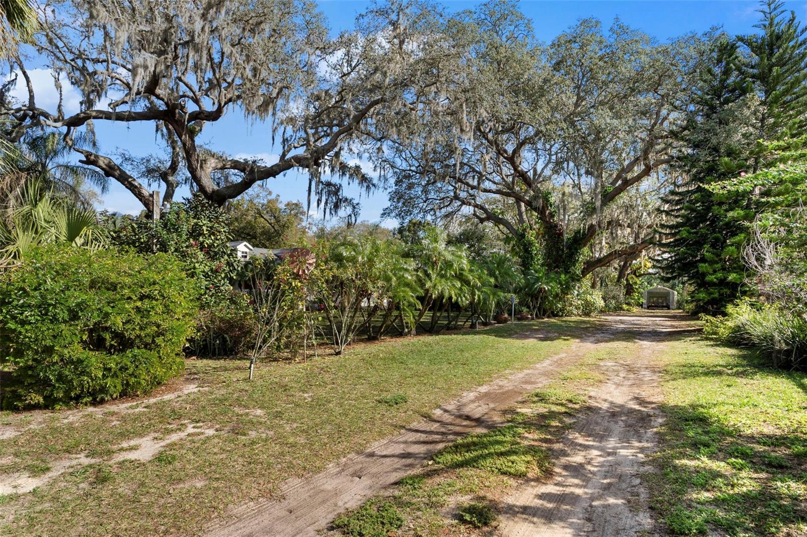 13015 ELM ST, ODESSA, FL, 33556