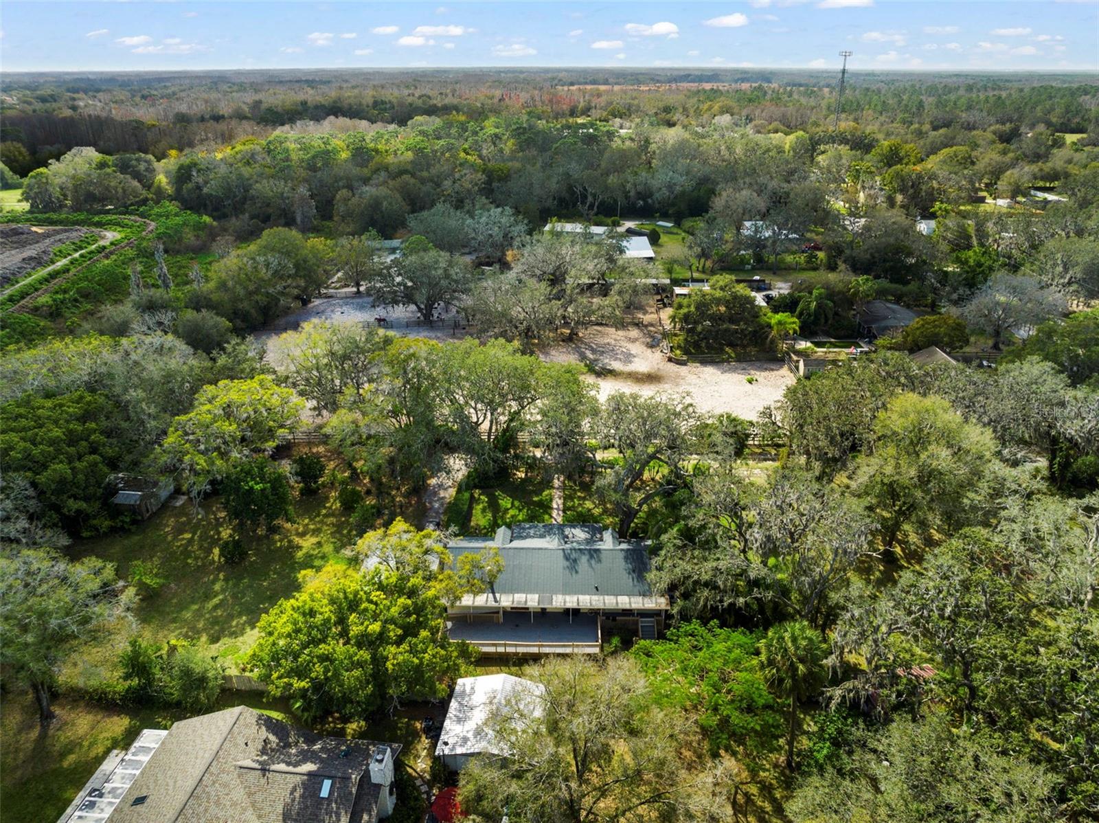 13015 ELM ST, ODESSA, FL, 33556