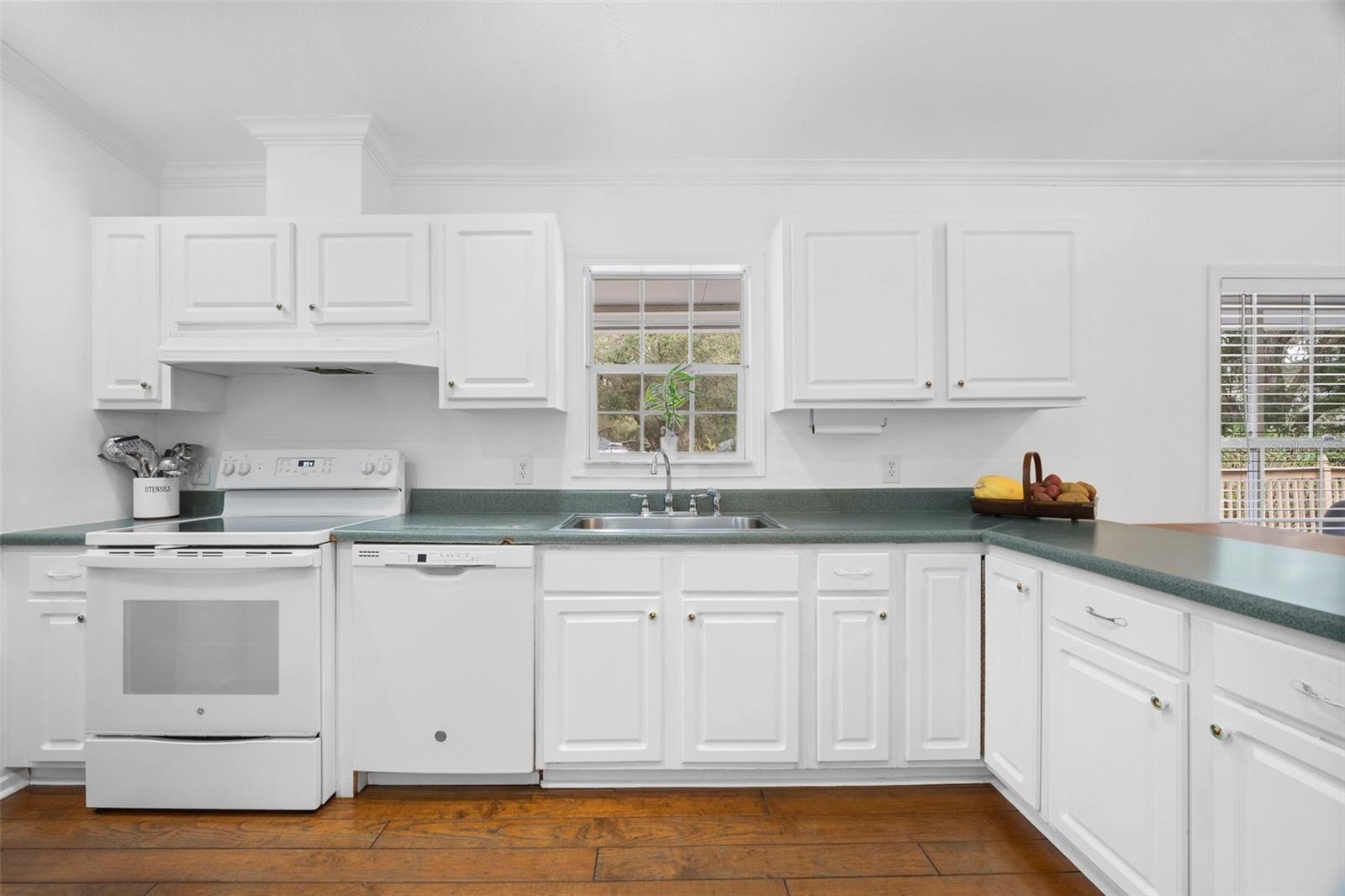 13015 ELM ST, ODESSA, FL, 33556